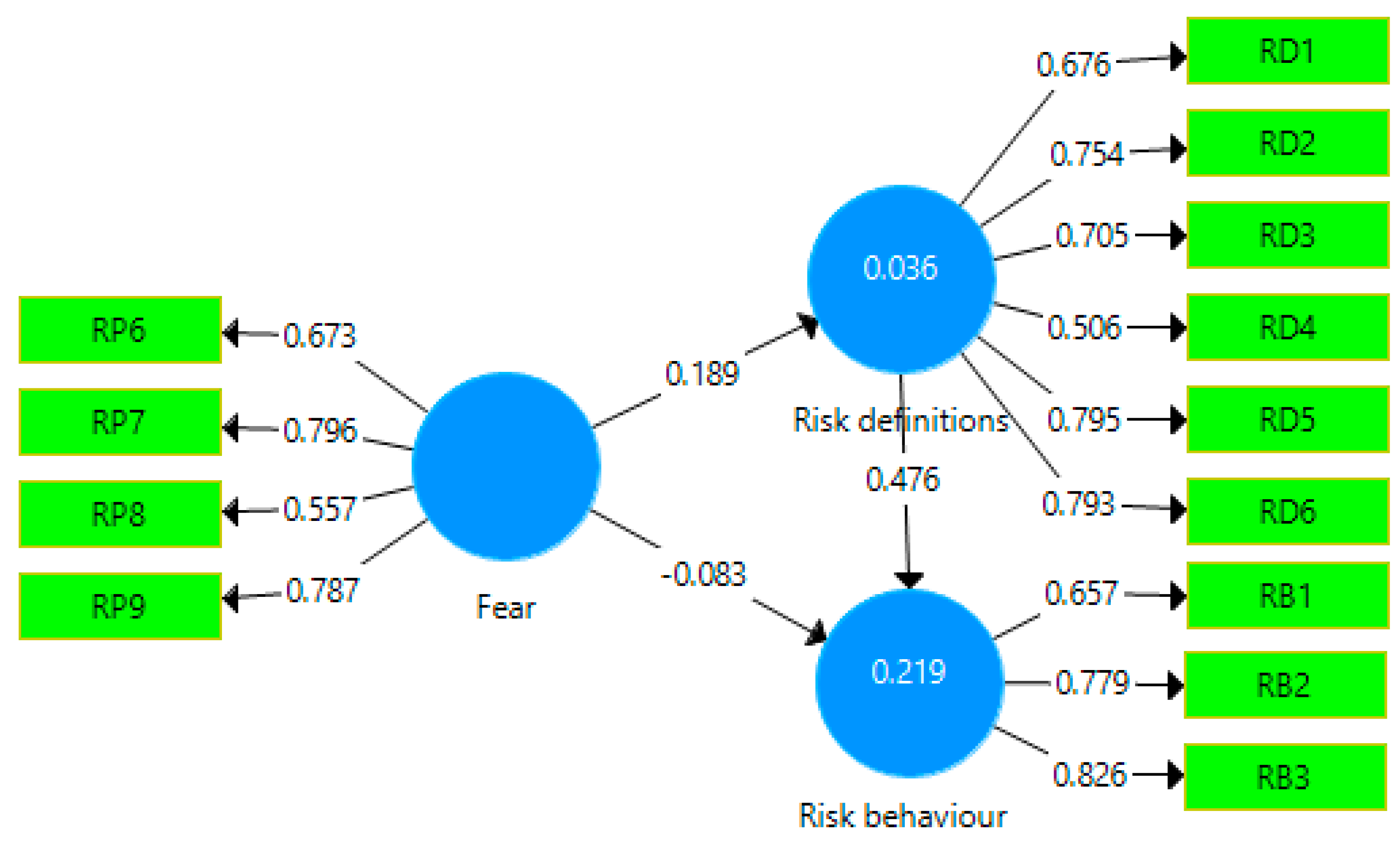 risk perception definition risk perception definition