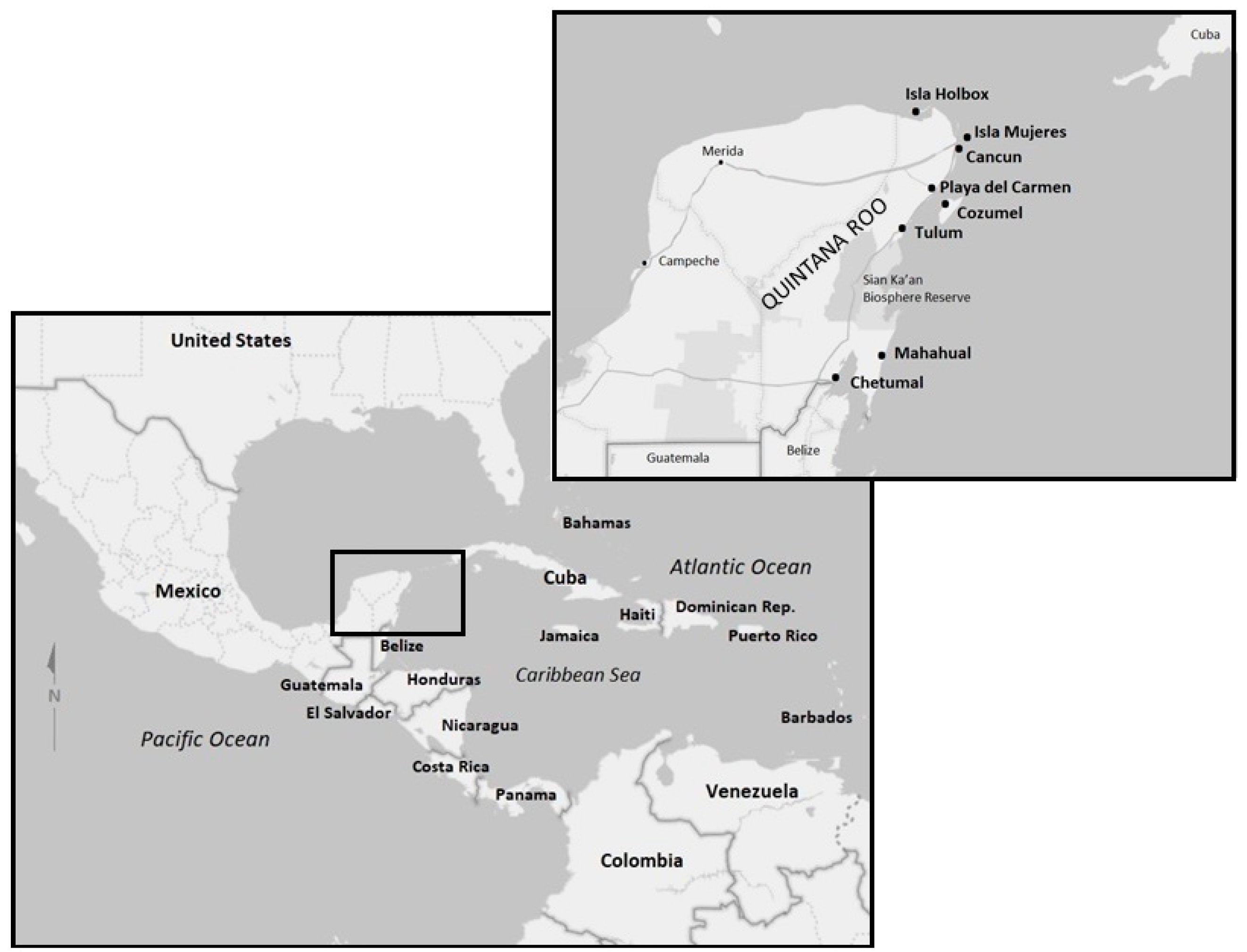 Jrfm 14 00578 g001 550