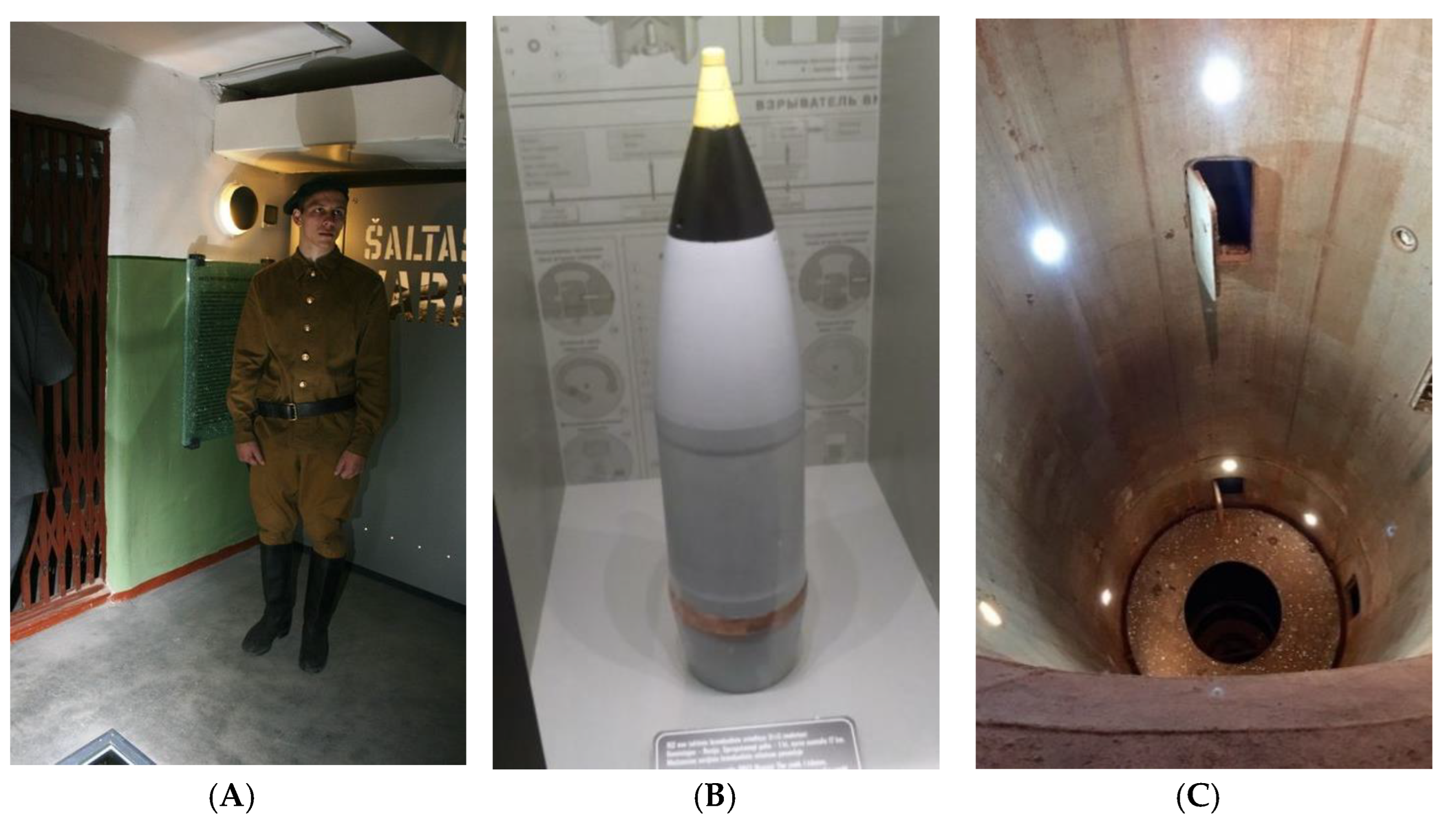 Jrfm 15 00264 g013 550