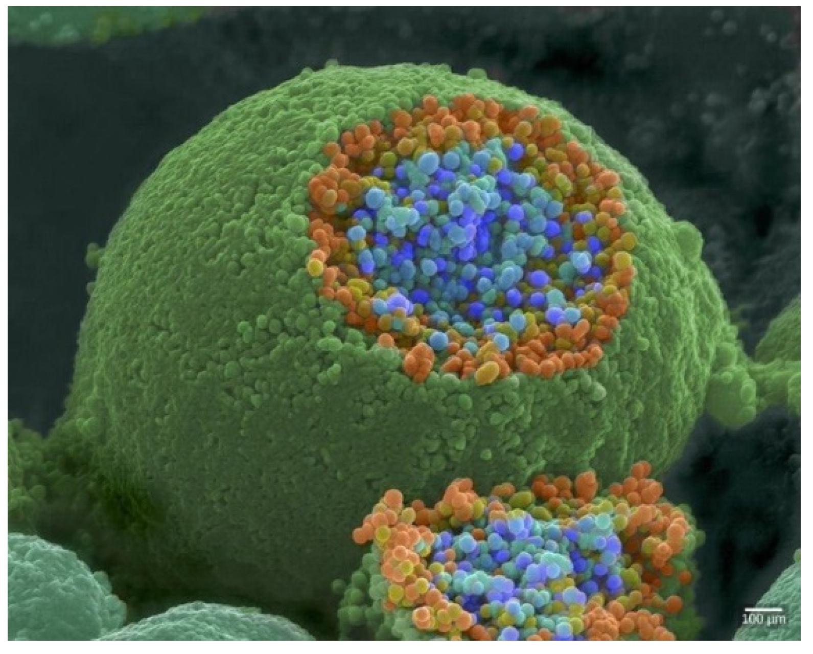 Jrfm 15 00360 g001 550