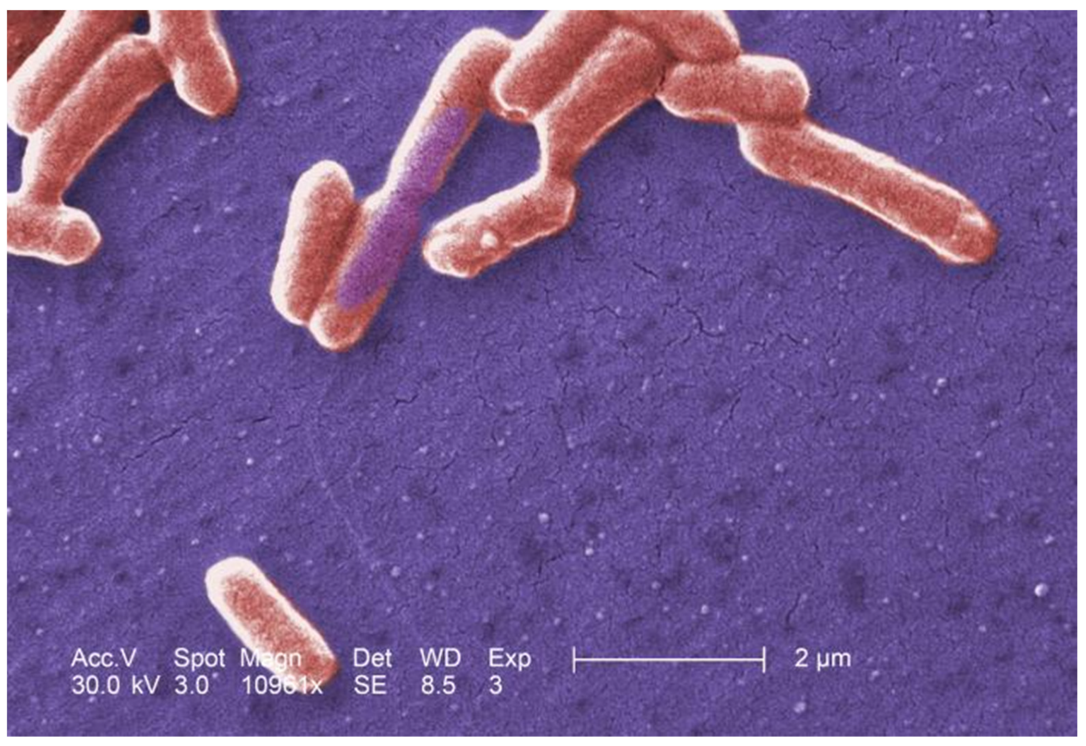 Jrfm 15 00360 g010 550