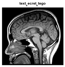 Jsan 14 00106 i002 Jsan 14 00106 i002