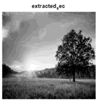 Jsan 14 00106 i039 Jsan 14 00106 i039