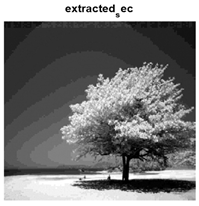 Jsan 14 00106 i045 Jsan 14 00106 i045