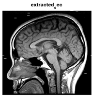 Jsan 14 00106 i060 Jsan 14 00106 i060