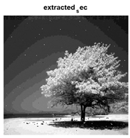 Jsan 14 00106 i081 Jsan 14 00106 i081