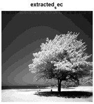 Jsan 14 00106 i099 Jsan 14 00106 i099