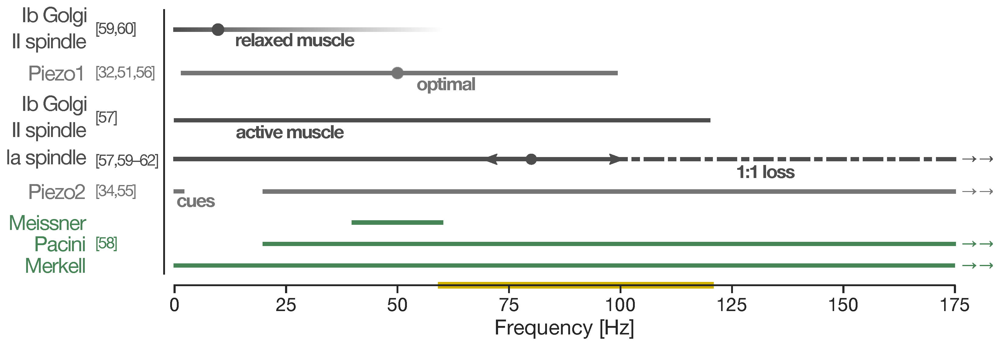 Jvd 02 00006 g001 Jvd 02 00006 g001