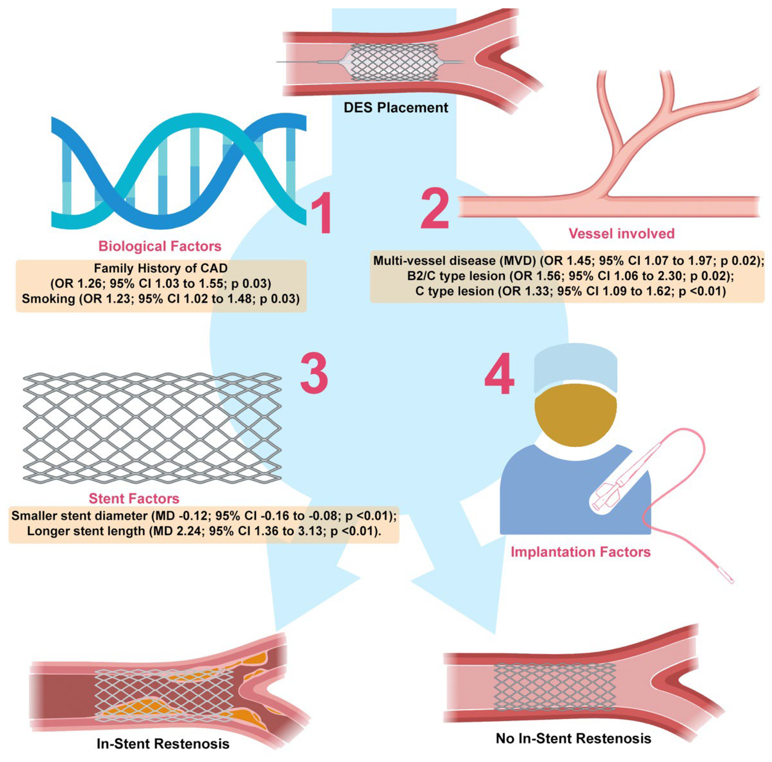 Jvd 02 00020 g004 Jvd 02 00020 g004