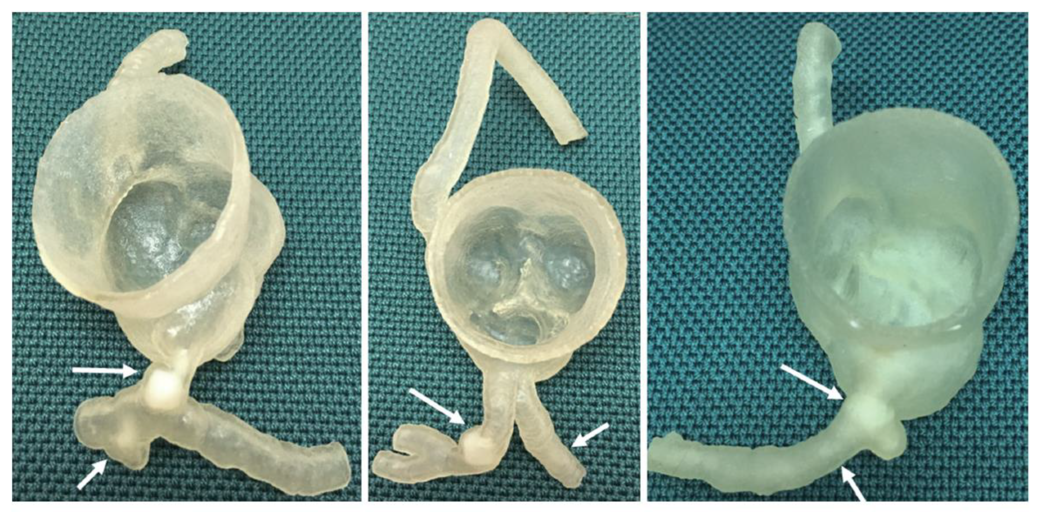 Jvd 02 00026 g001 Jvd 02 00026 g001