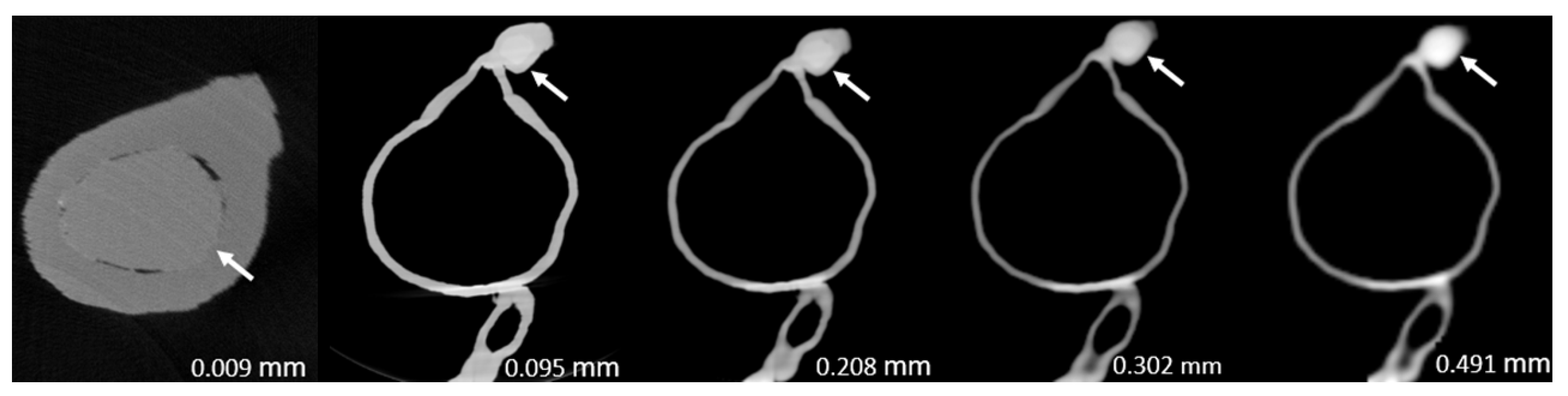 Jvd 02 00026 g003 Jvd 02 00026 g003