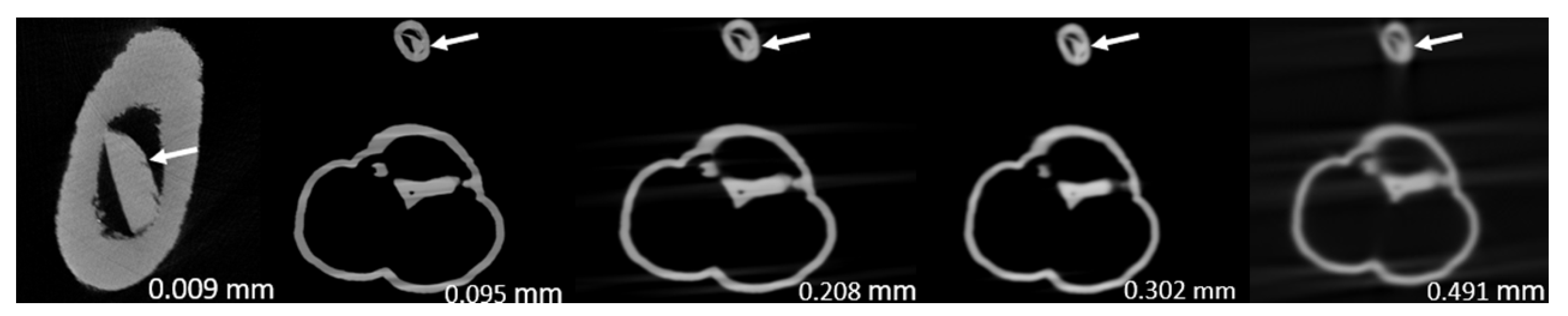 Jvd 02 00026 g007 Jvd 02 00026 g007