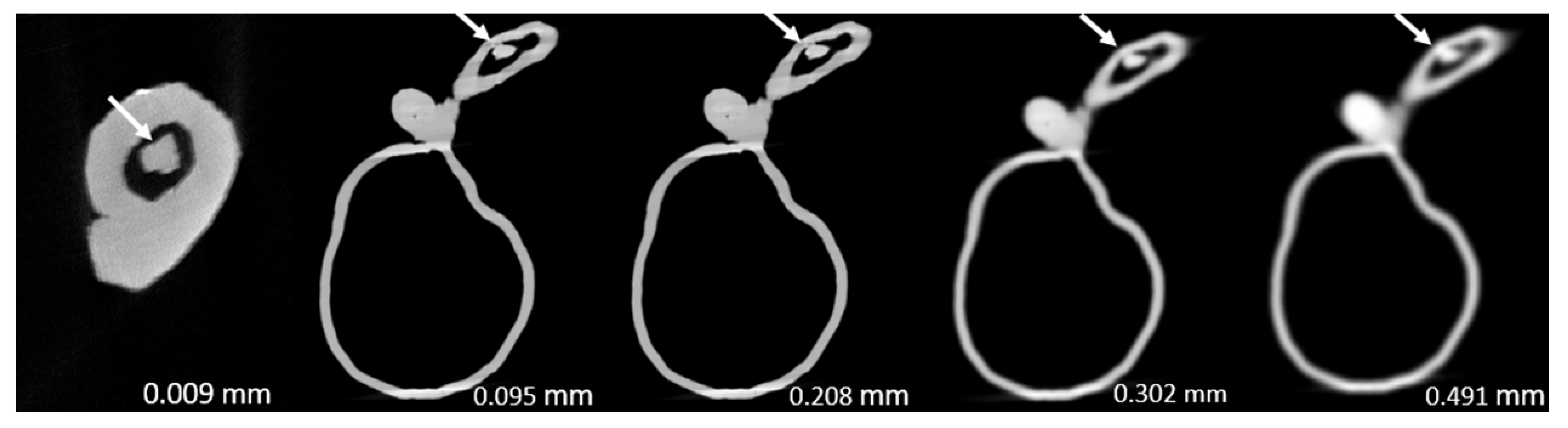 Jvd 02 00026 g008 Jvd 02 00026 g008