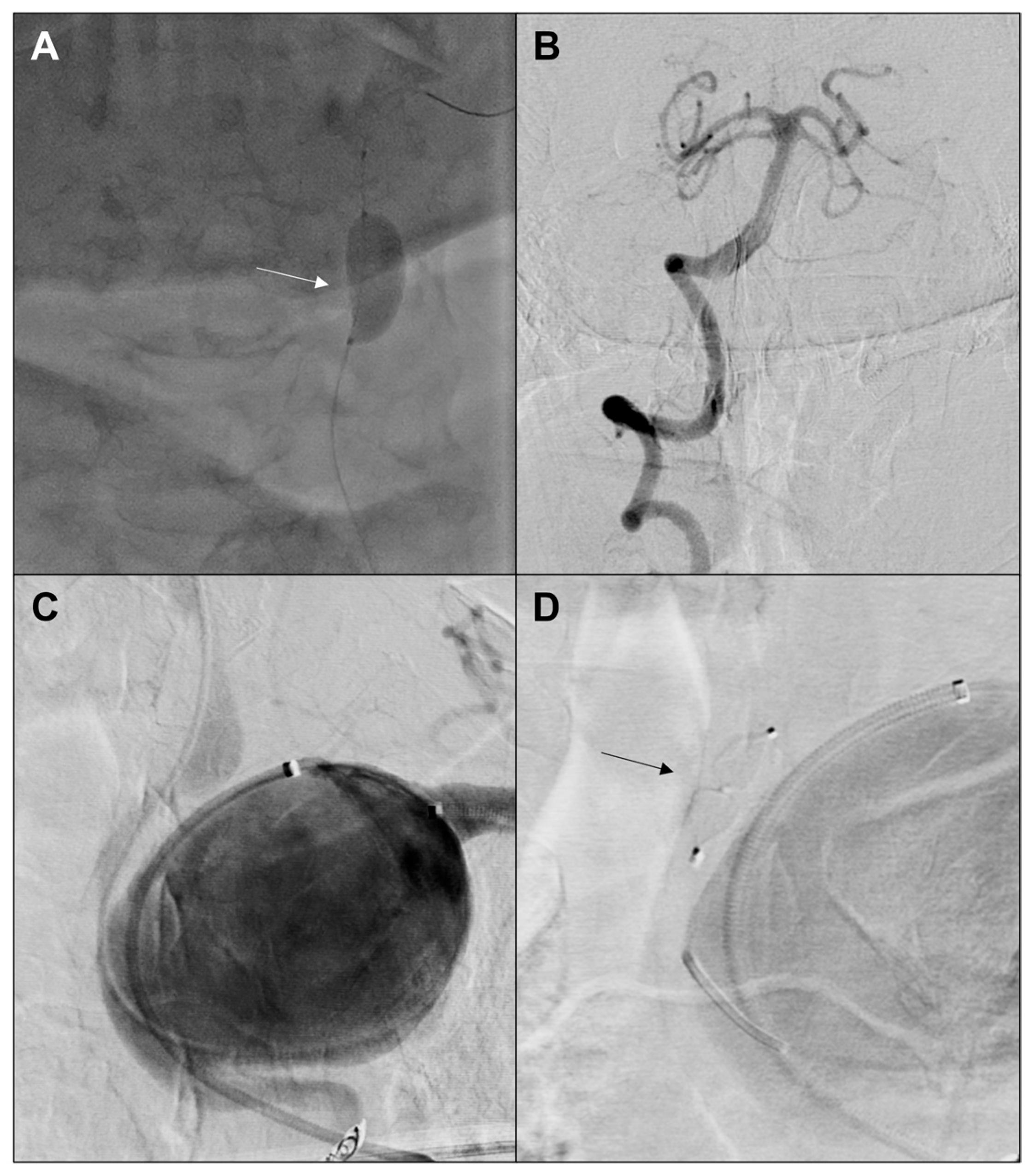 Jvd 04 00035 g003 Jvd 04 00035 g003