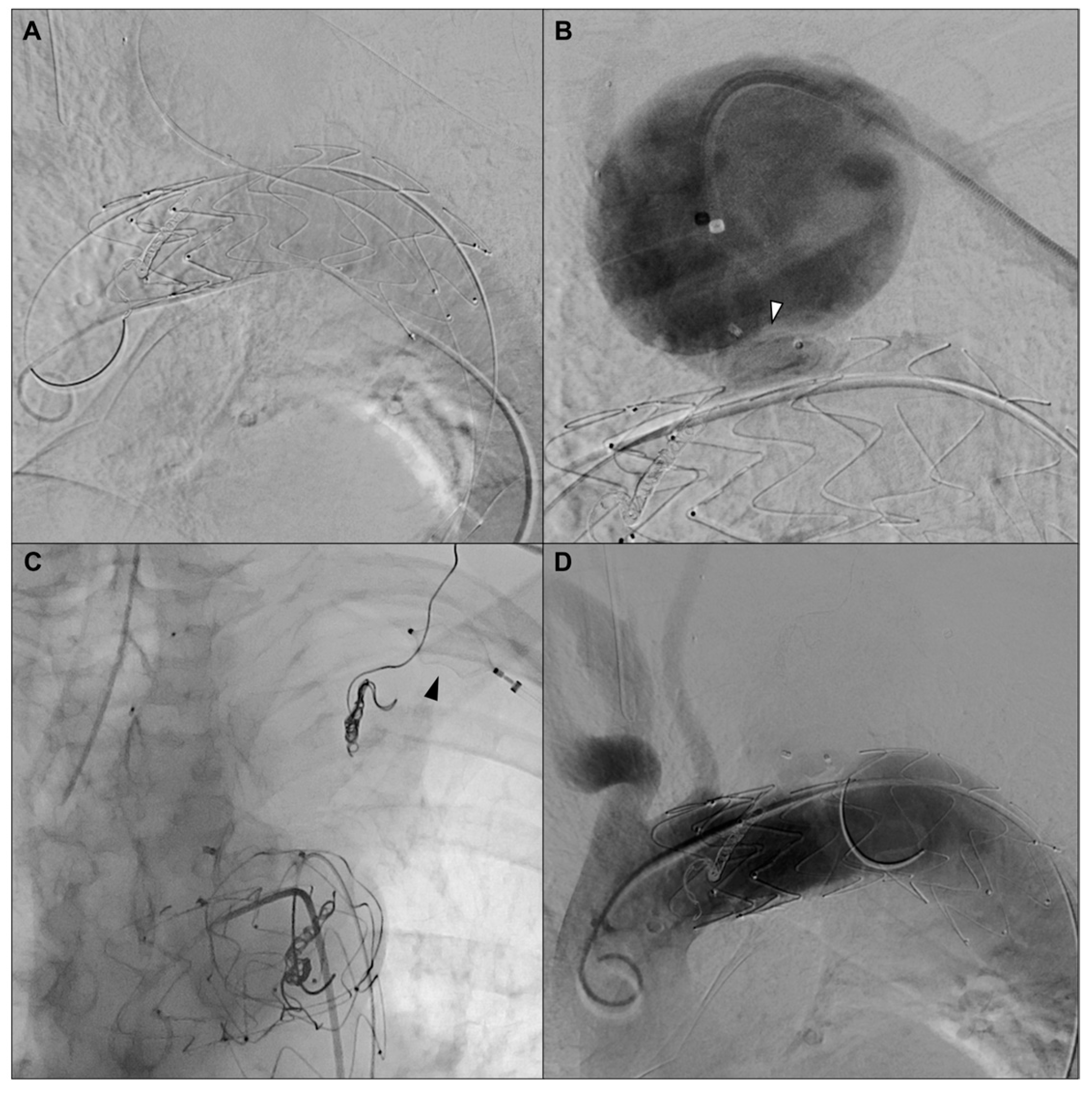 Jvd 04 00035 g004 Jvd 04 00035 g004