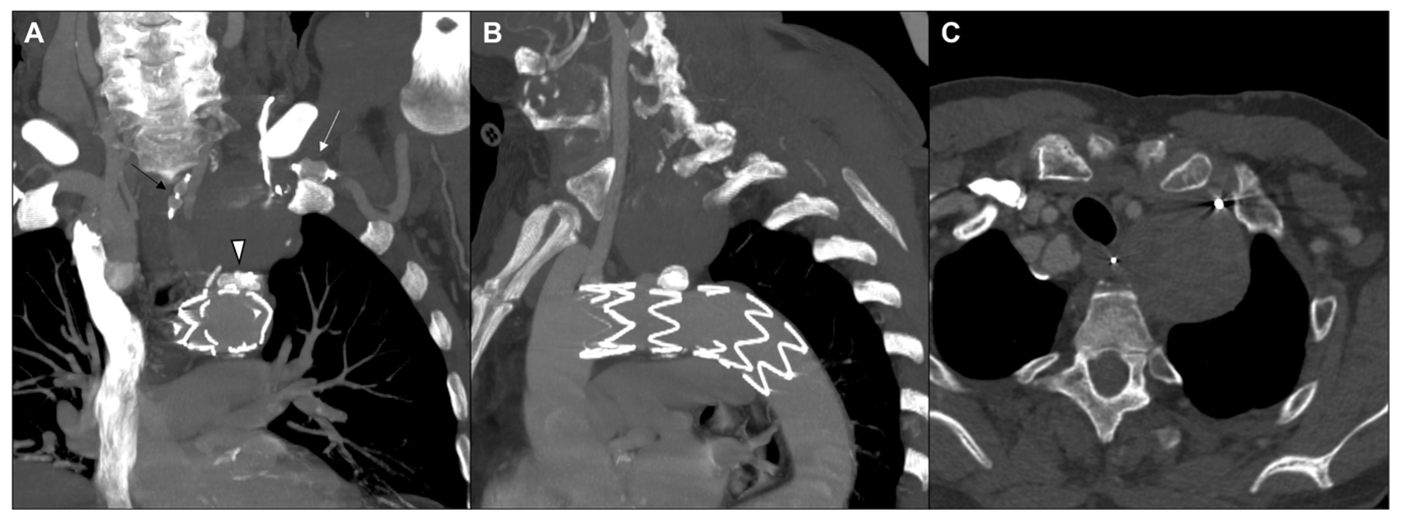 Jvd 04 00035 g005 Jvd 04 00035 g005