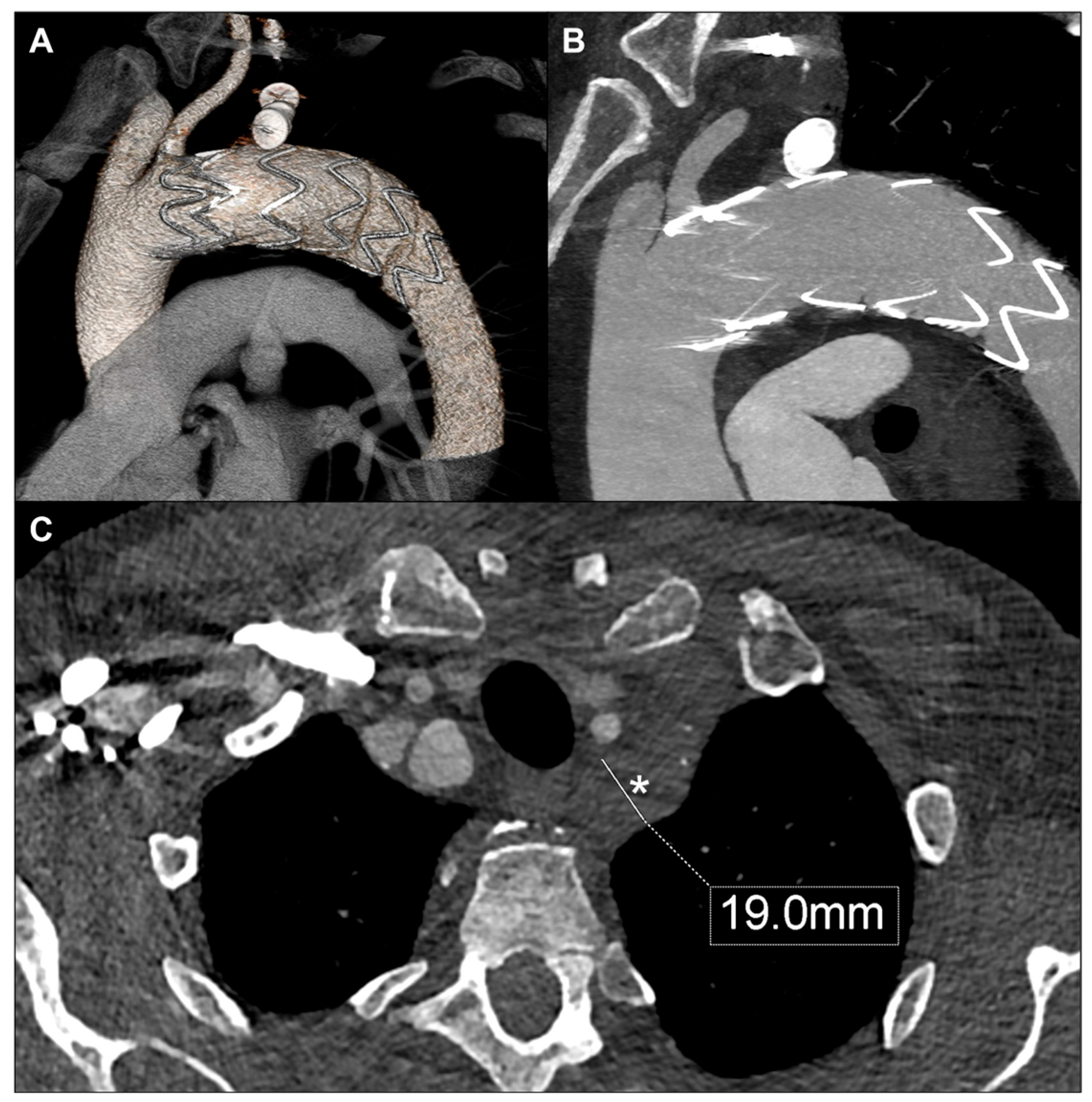 Jvd 04 00035 g006 Jvd 04 00035 g006