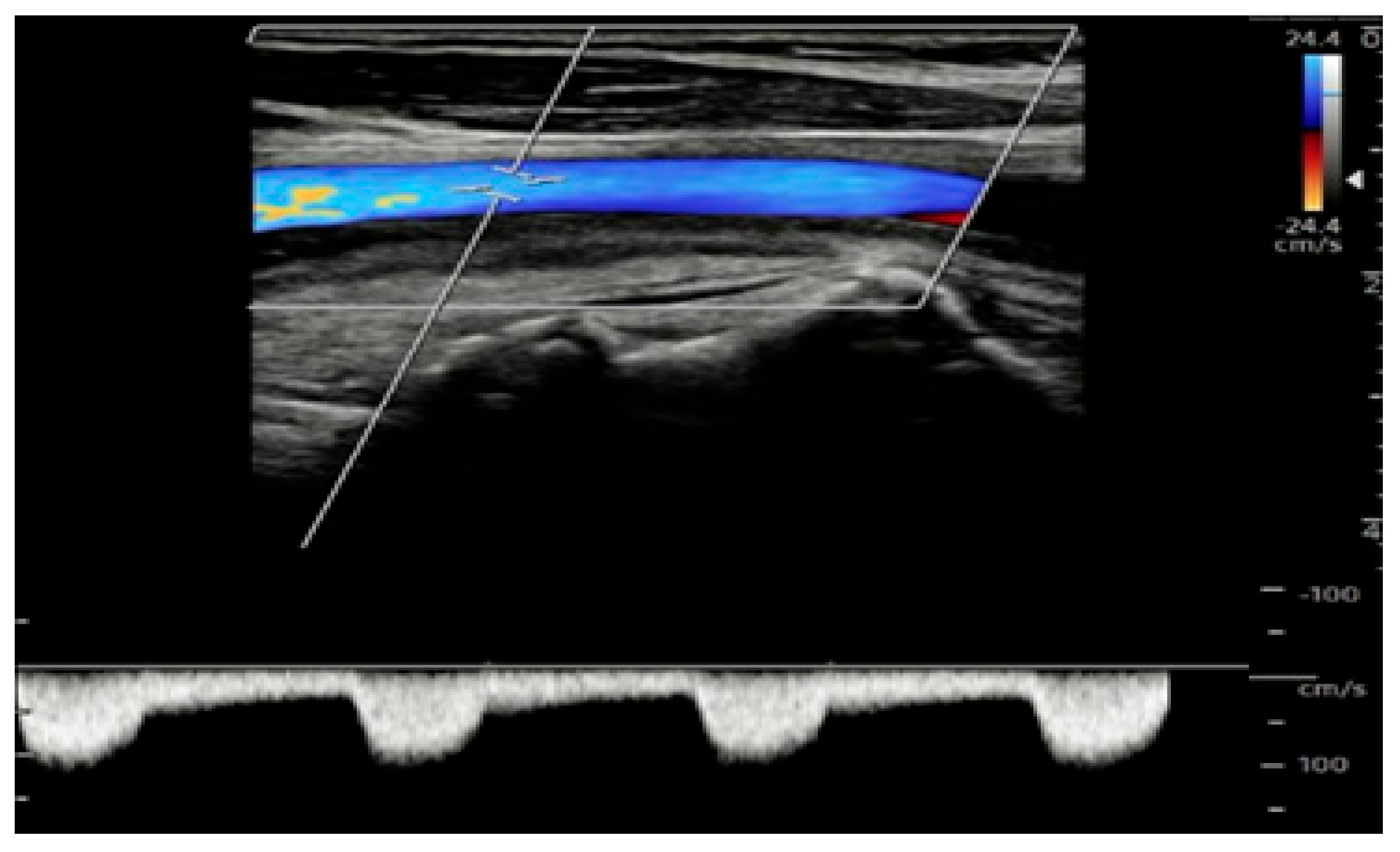 Jvd 04 00037 g002 Jvd 04 00037 g002