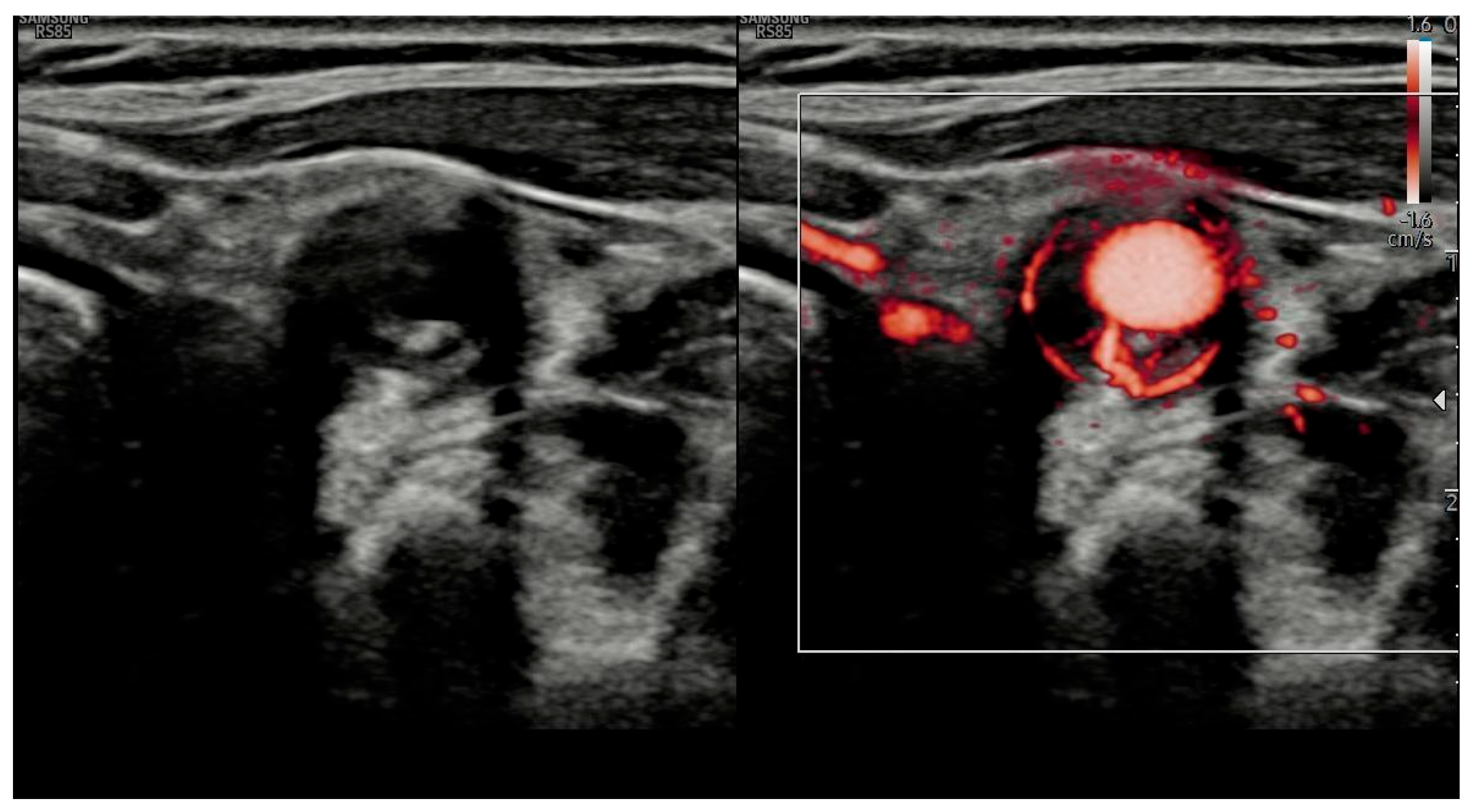 Jvd 04 00037 g003 Jvd 04 00037 g003