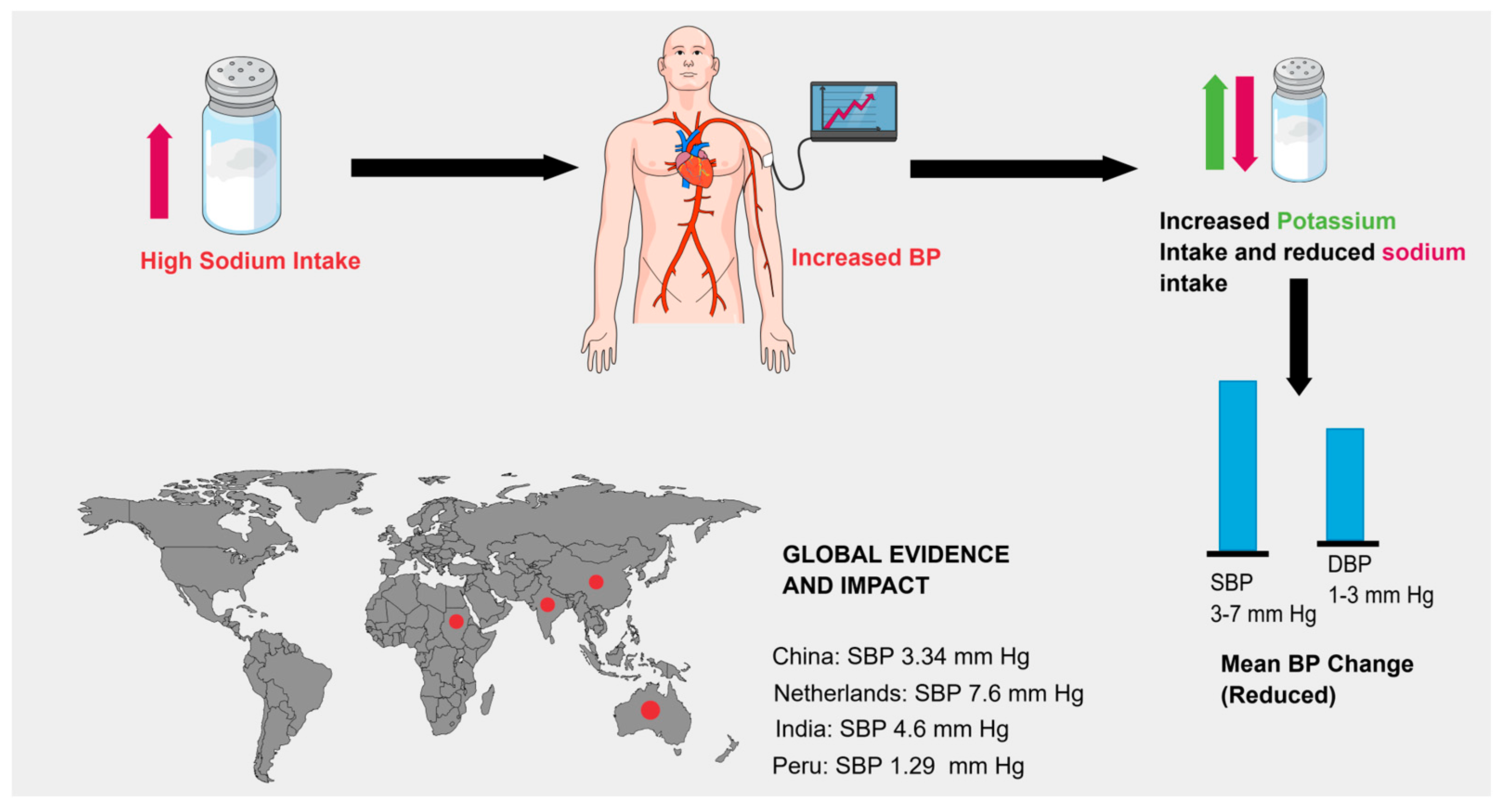 Jvd 04 00042 g001 Jvd 04 00042 g001