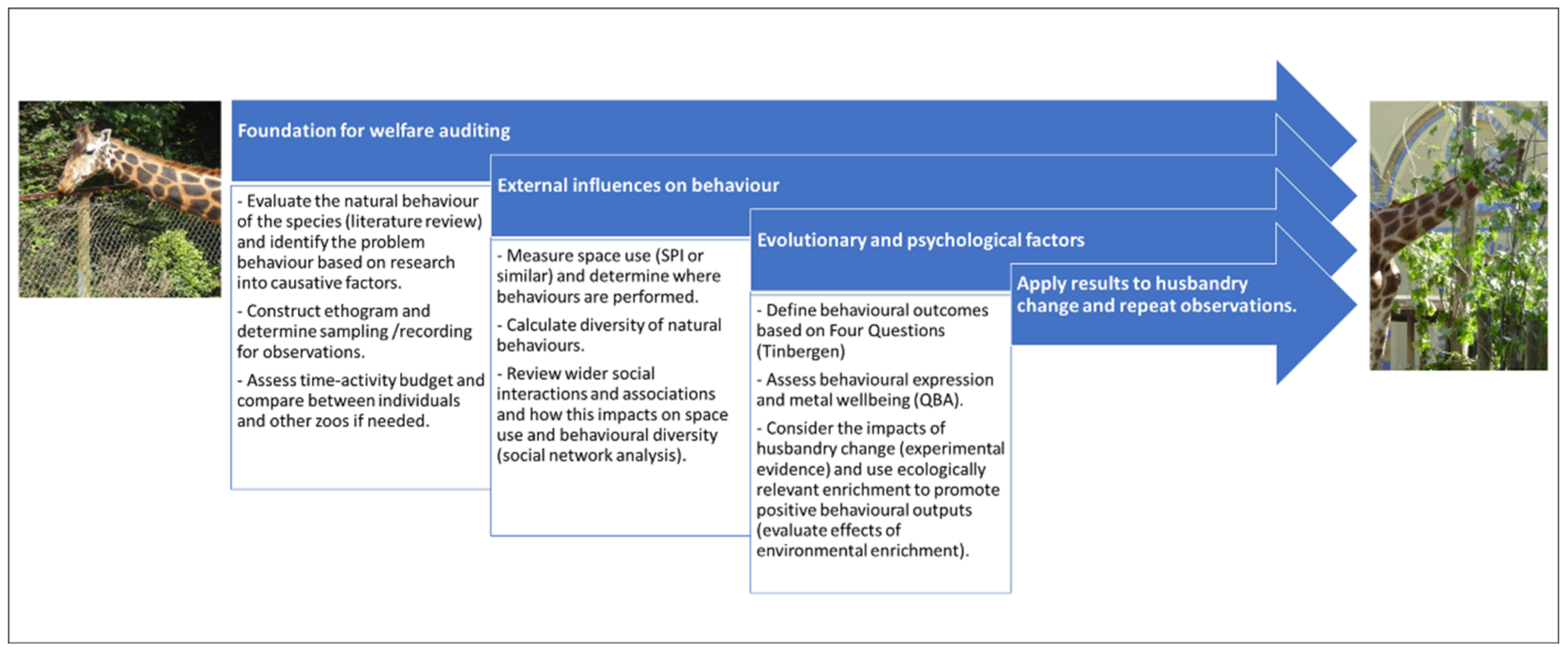 JZBG | Free Full-Text | Conducting Behavioural Research in the Zoo: A Guide to Ten Important Methods, Concepts and Theories JZBG | Free Full-Text | Conducting Behavioural Research in the Zoo: A Guide to Ten Important Methods, Concepts and Theories
