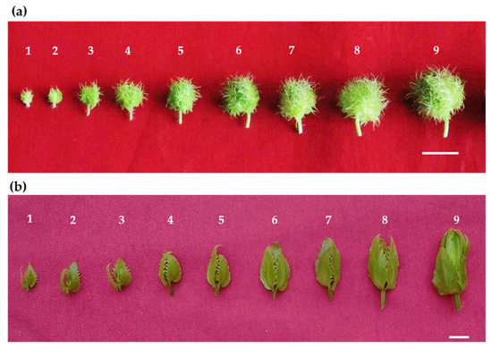 Journal Of Zoological And Botanical Gardens An Open Access Journal From Mdpi