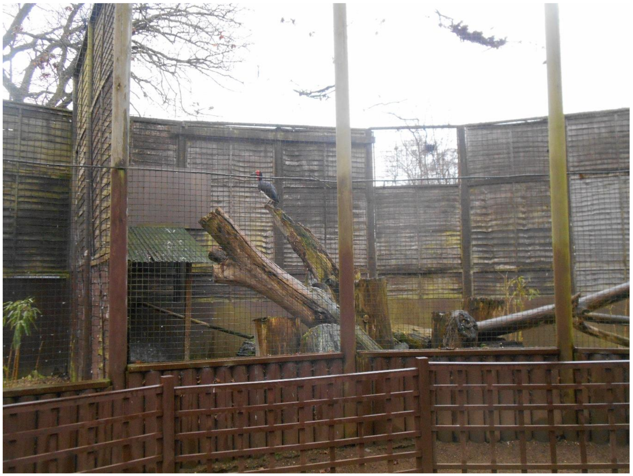 Jzbg 02 00043 g001 550