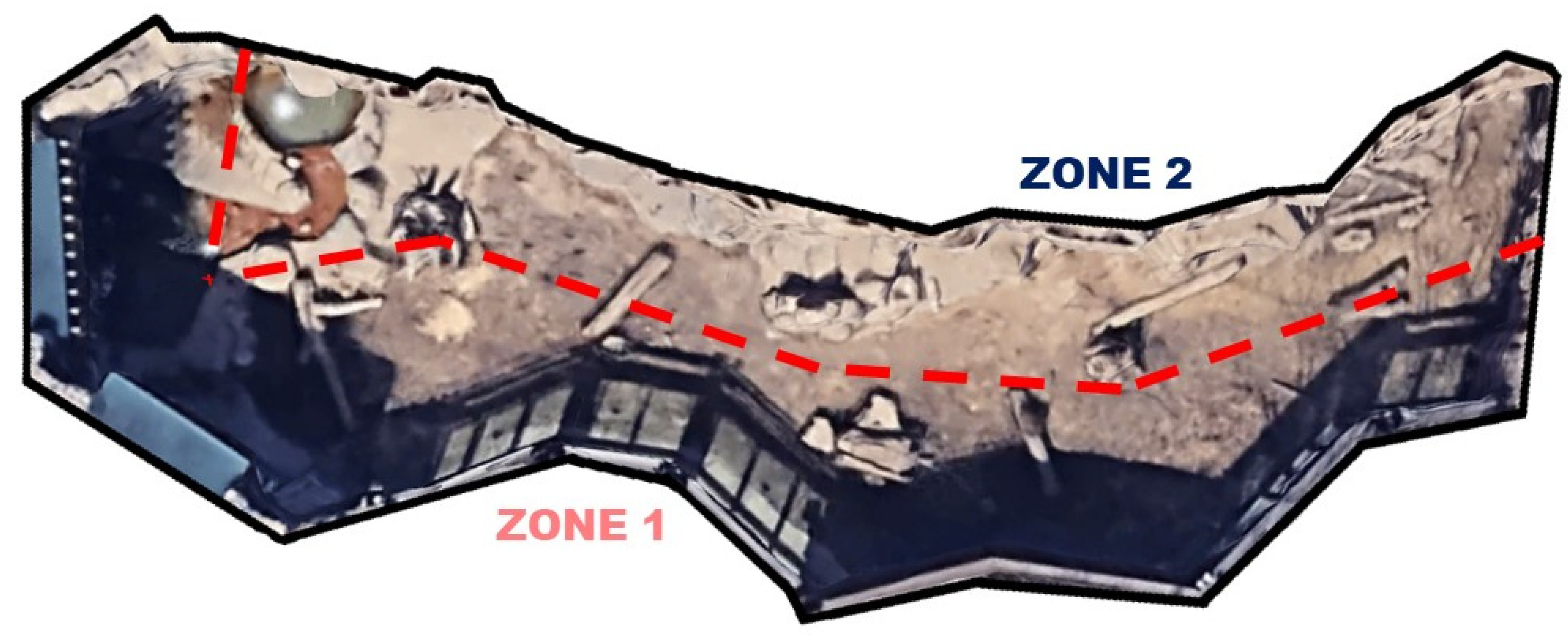 Jzbg 03 00026 g002 550