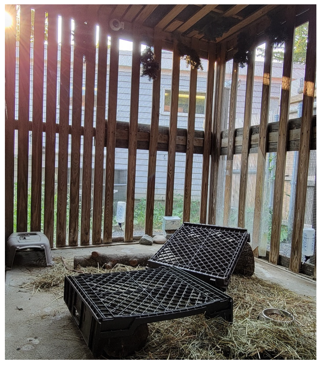 Jzbg 03 00042 g002 550