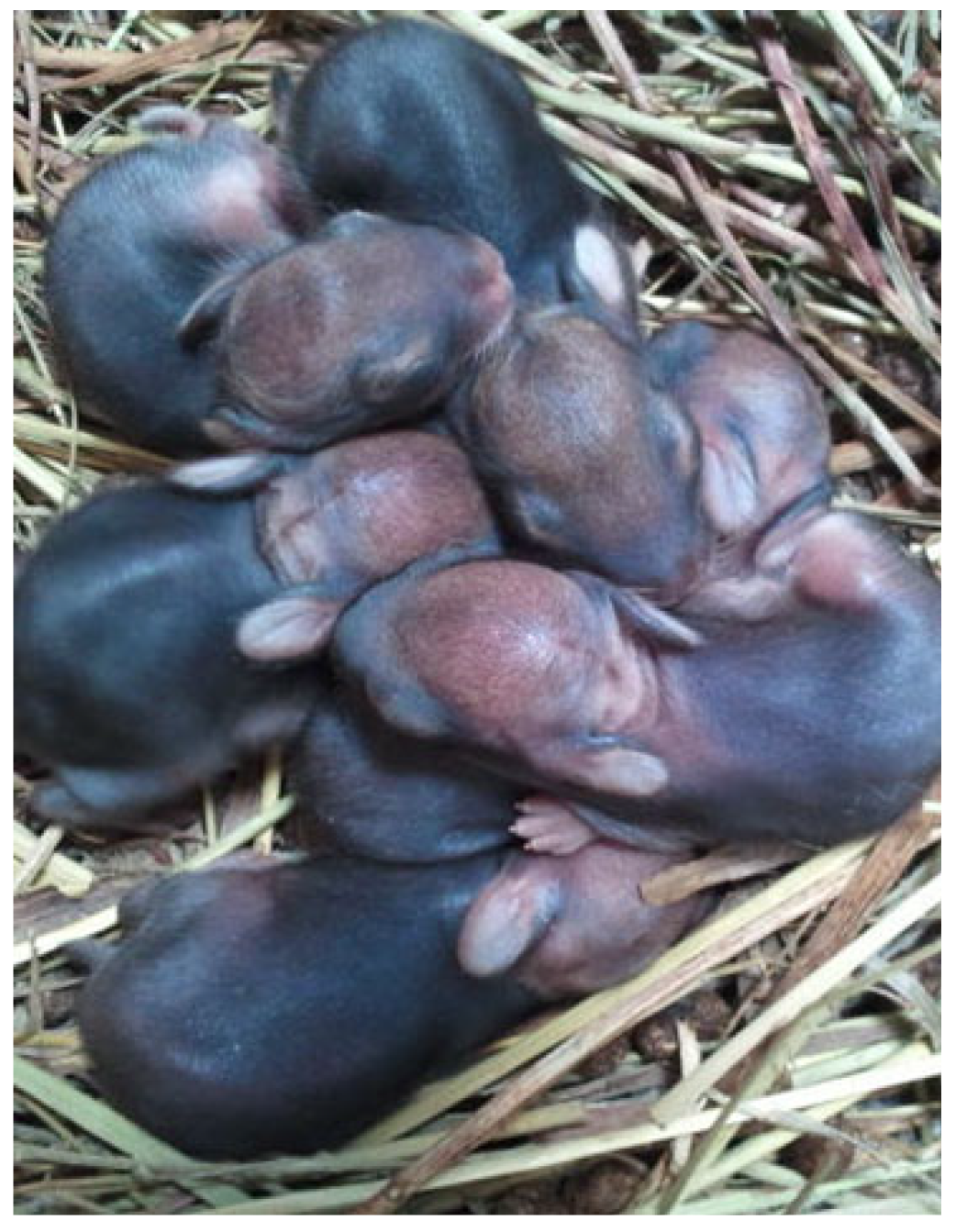 Jzbg 03 00042 g003 550