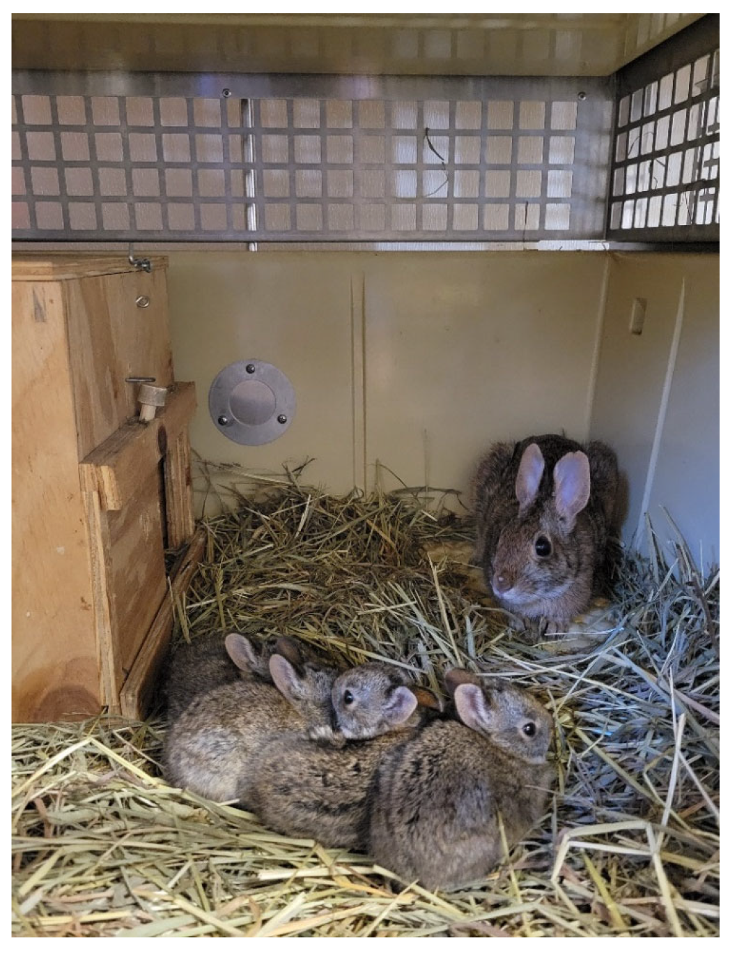 Jzbg 03 00042 g004 550