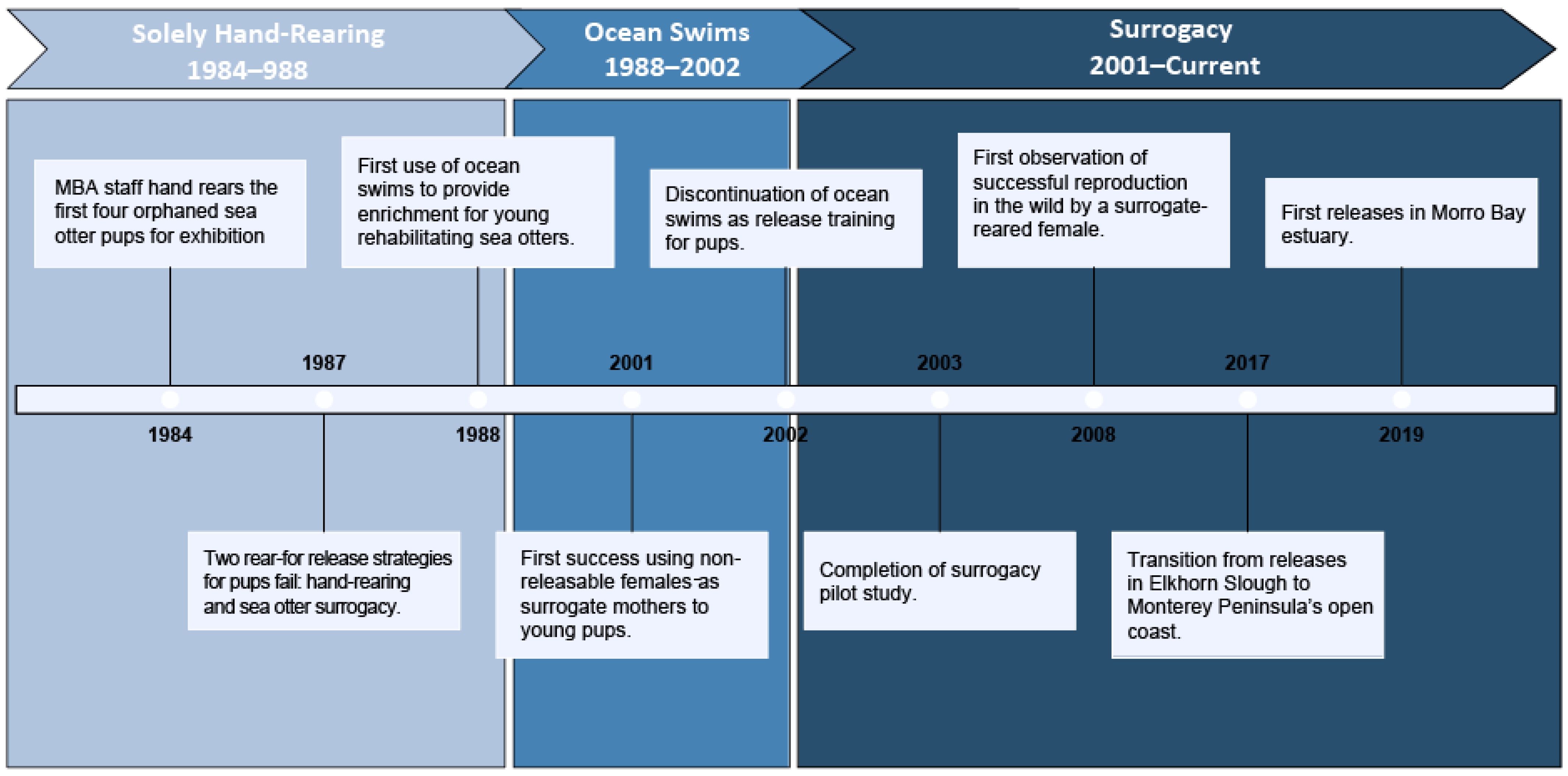 Jzbg 03 00047 g002 Jzbg 03 00047 g002