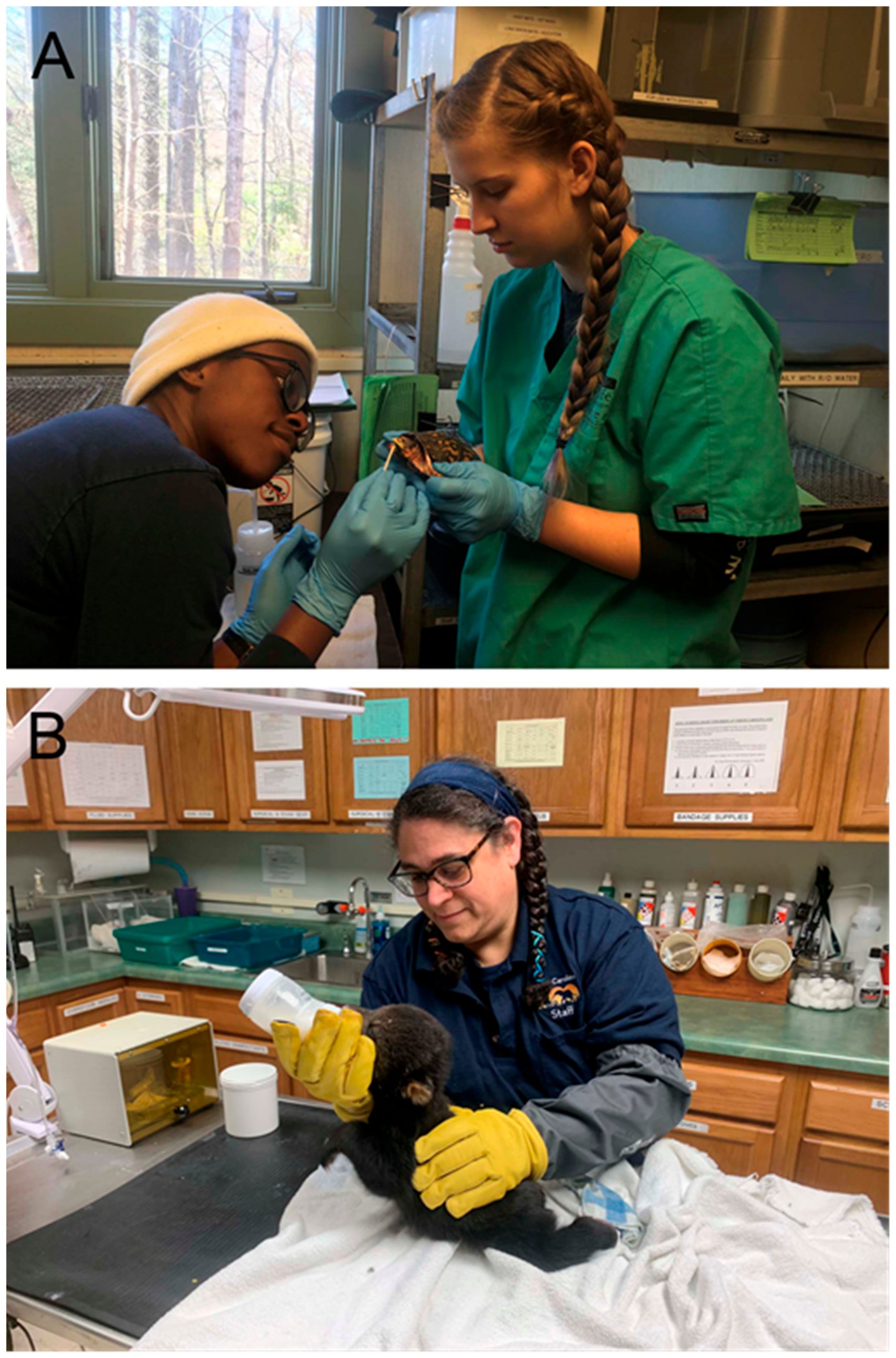 Jzbg 04 00025 g004 Jzbg 04 00025 g004