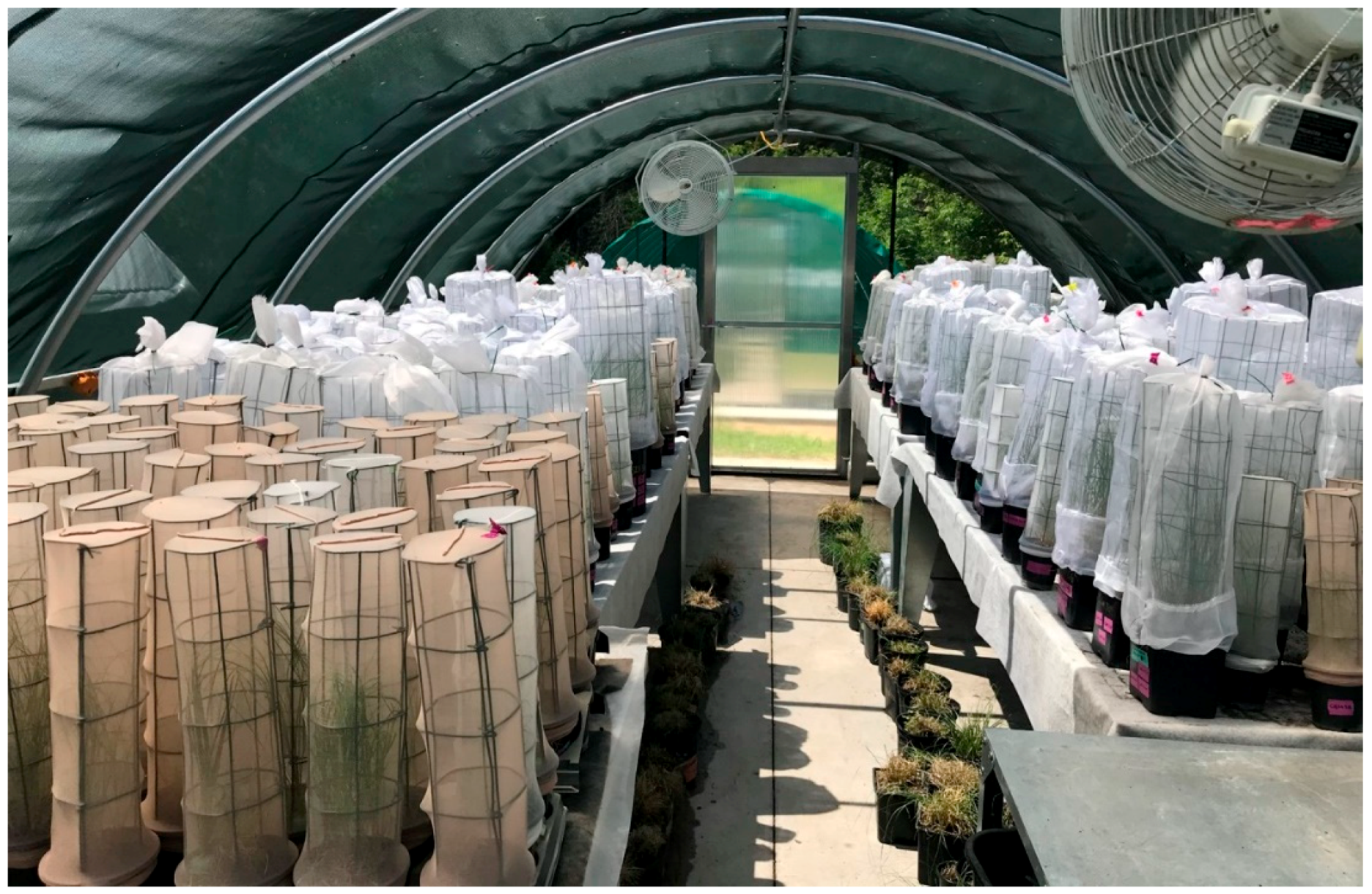 Jzbg 04 00032 g001 Jzbg 04 00032 g001