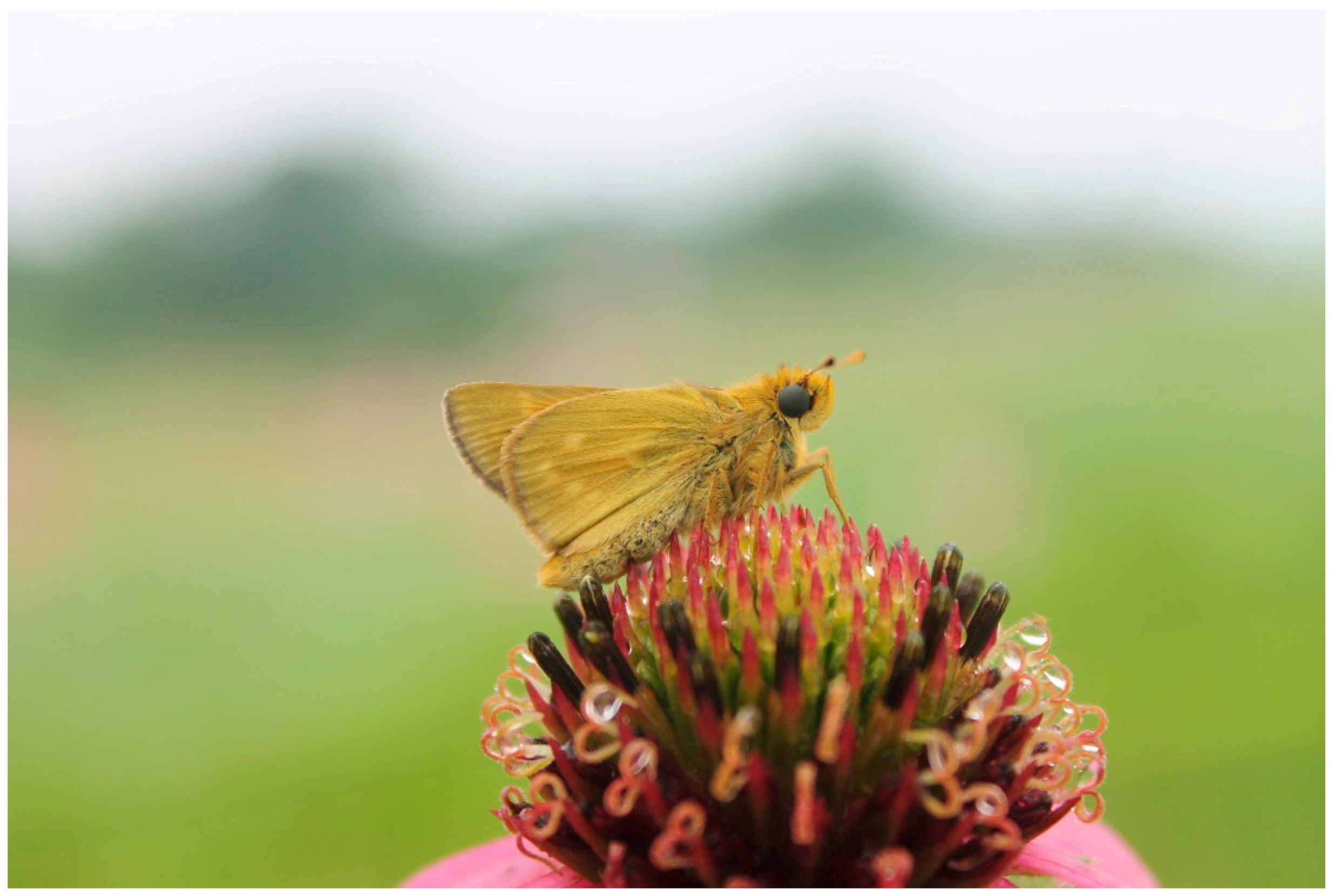 Jzbg 04 00032 g002 Jzbg 04 00032 g002