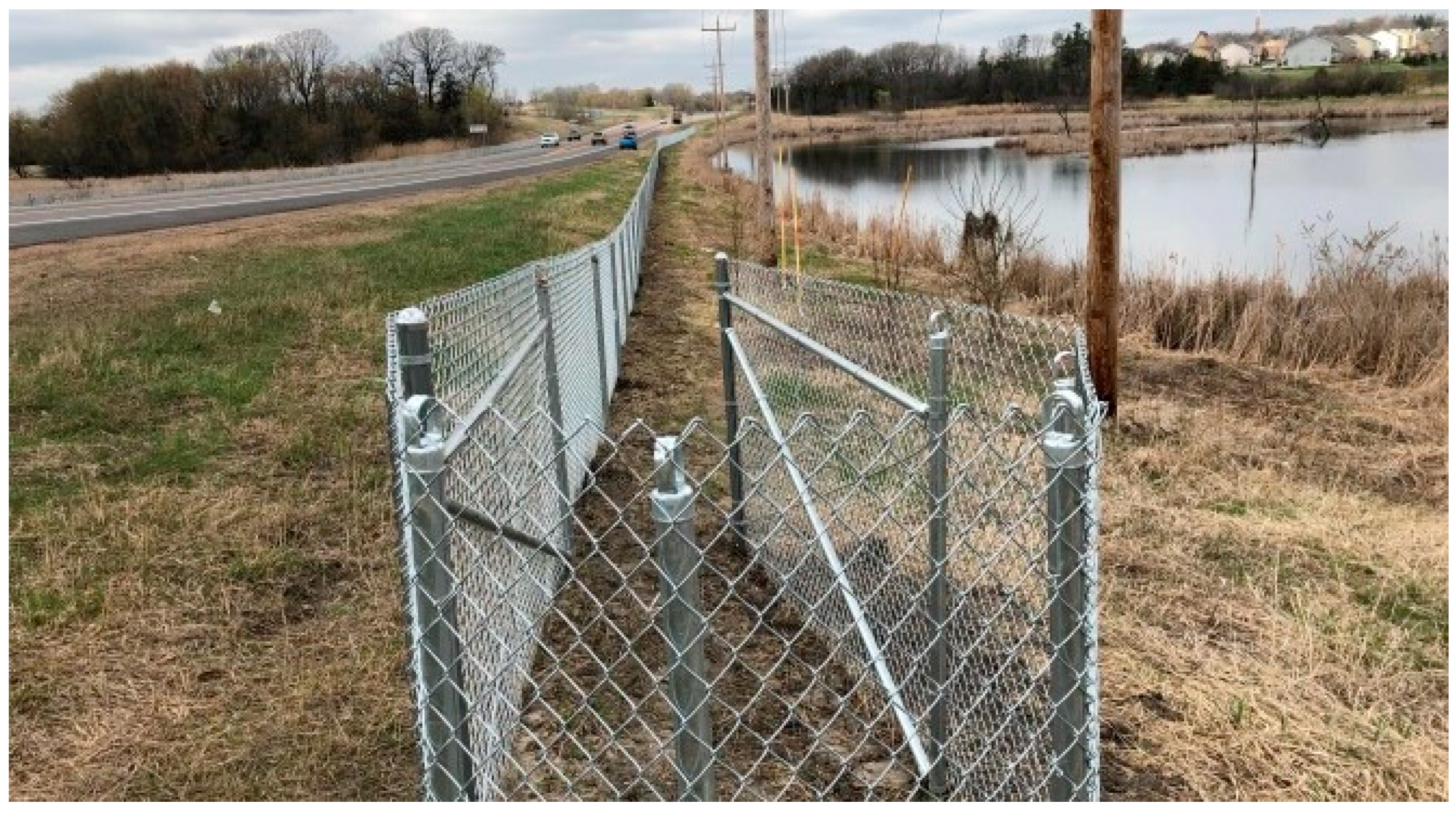 Jzbg 04 00032 g004 Jzbg 04 00032 g004