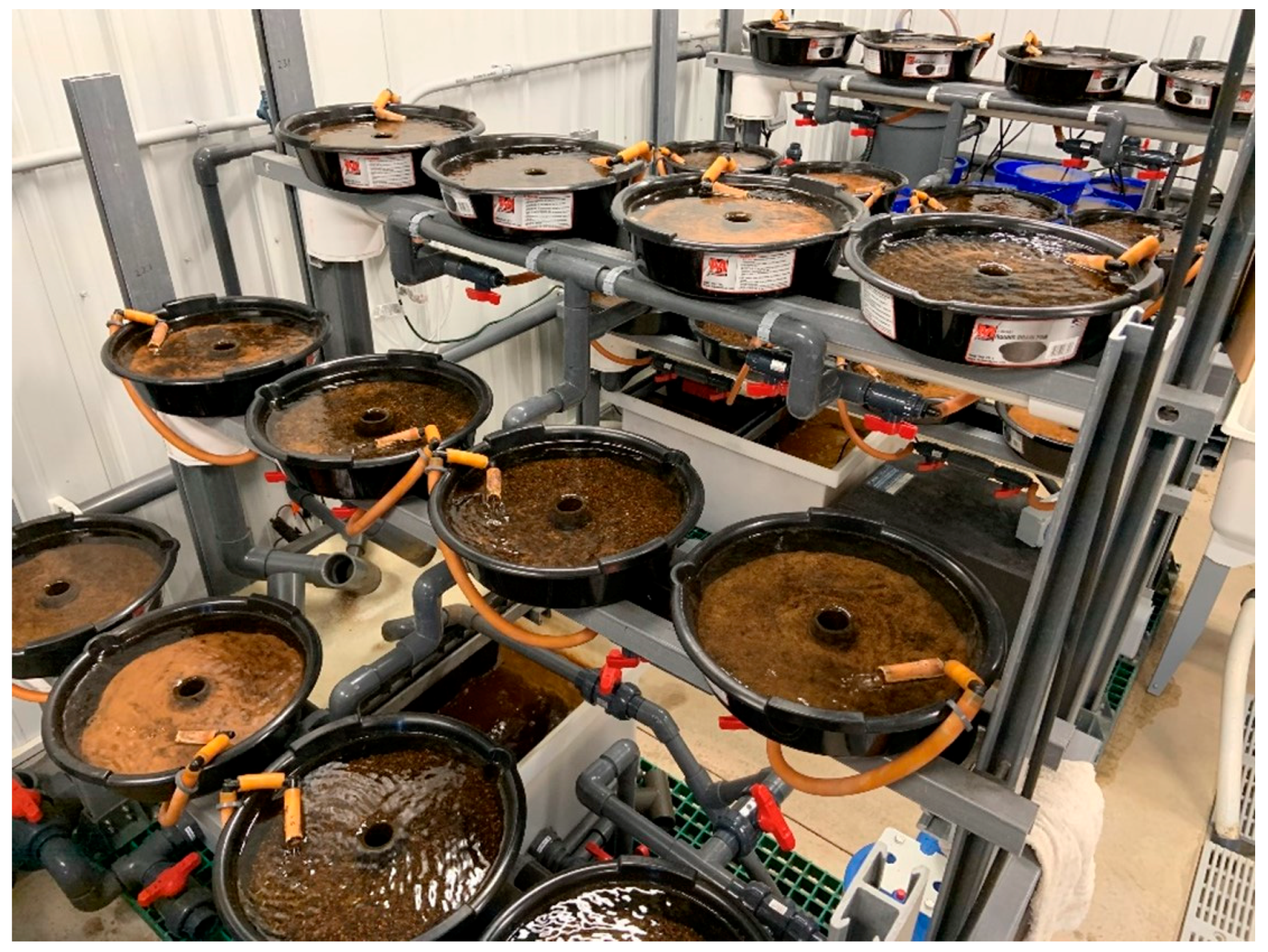 Jzbg 04 00032 g006 Jzbg 04 00032 g006