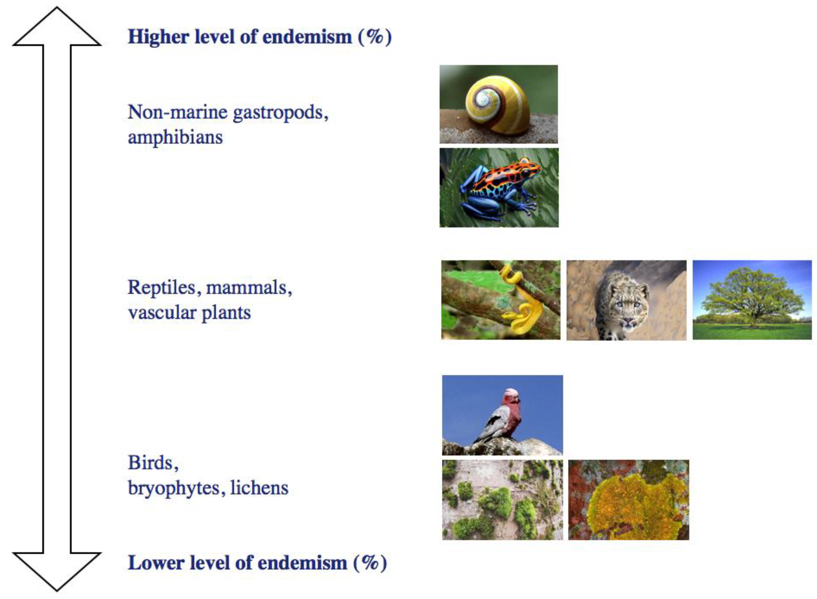 Centers of Endemism and The Potential of Zoos and Botanical Gardens in