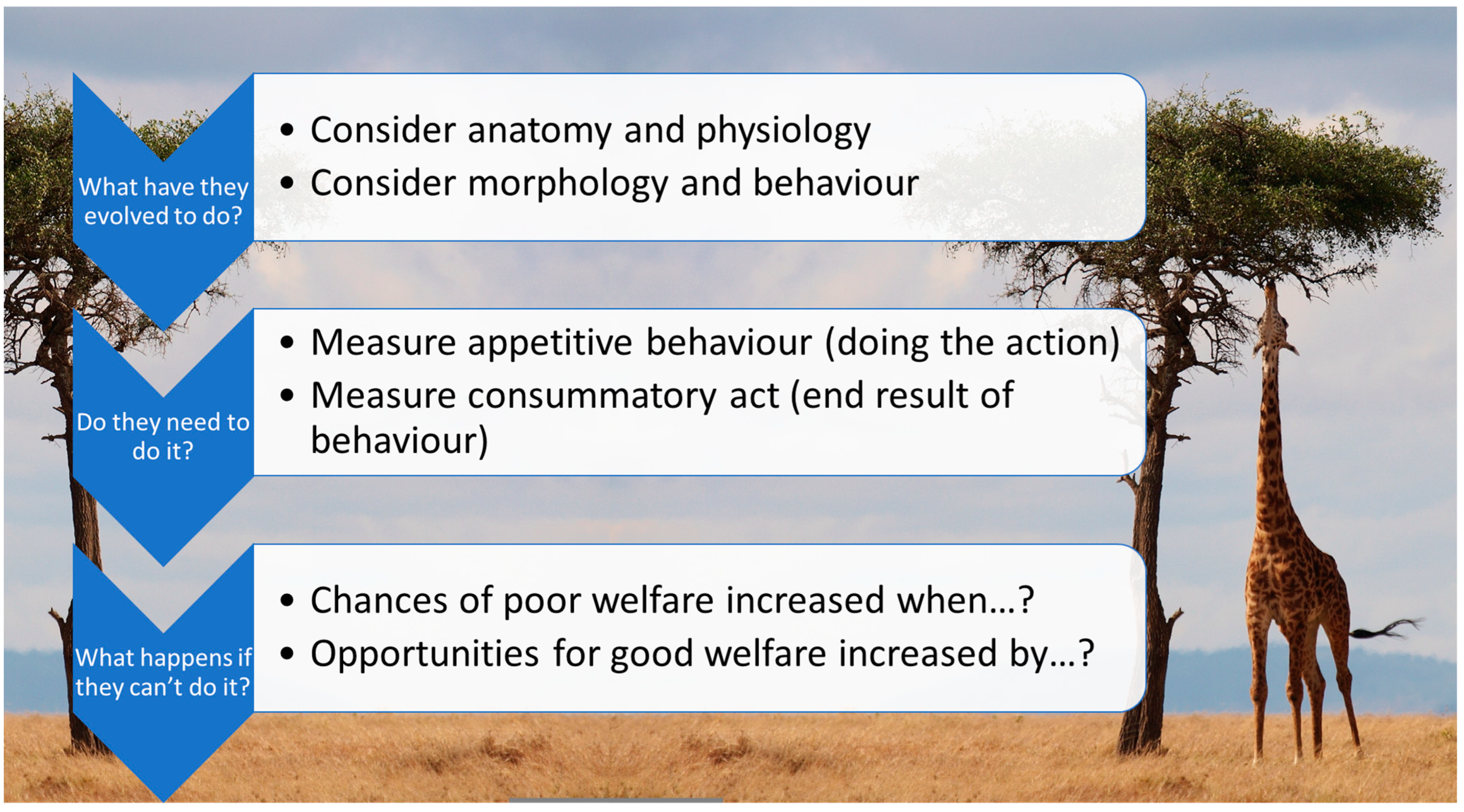 Jzbg 04 00039 g001 Jzbg 04 00039 g001