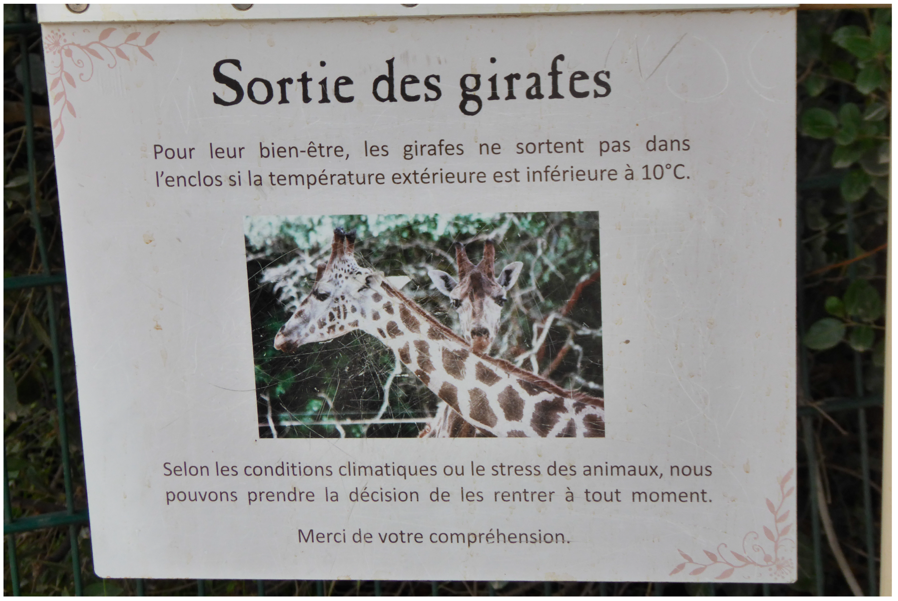 Jzbg 04 00039 g003 Jzbg 04 00039 g003