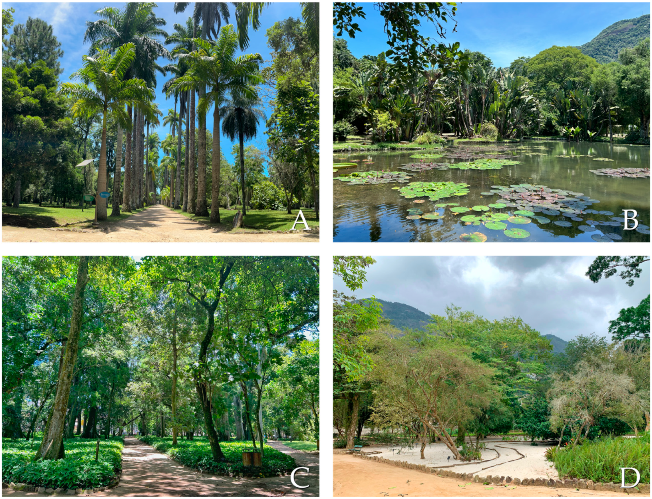 Jzbg 05 00026 sch001