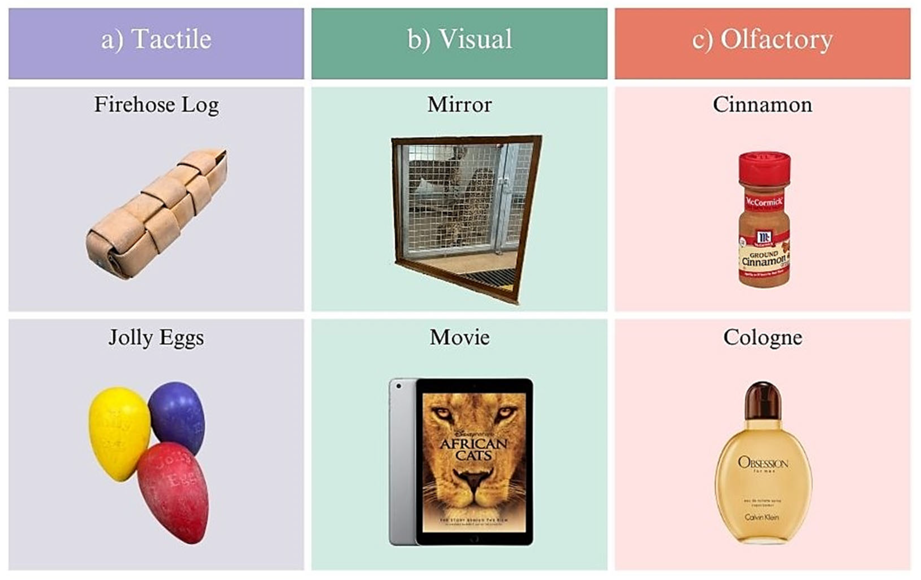 Jzbg 05 00035 g001 Jzbg 05 00035 g001