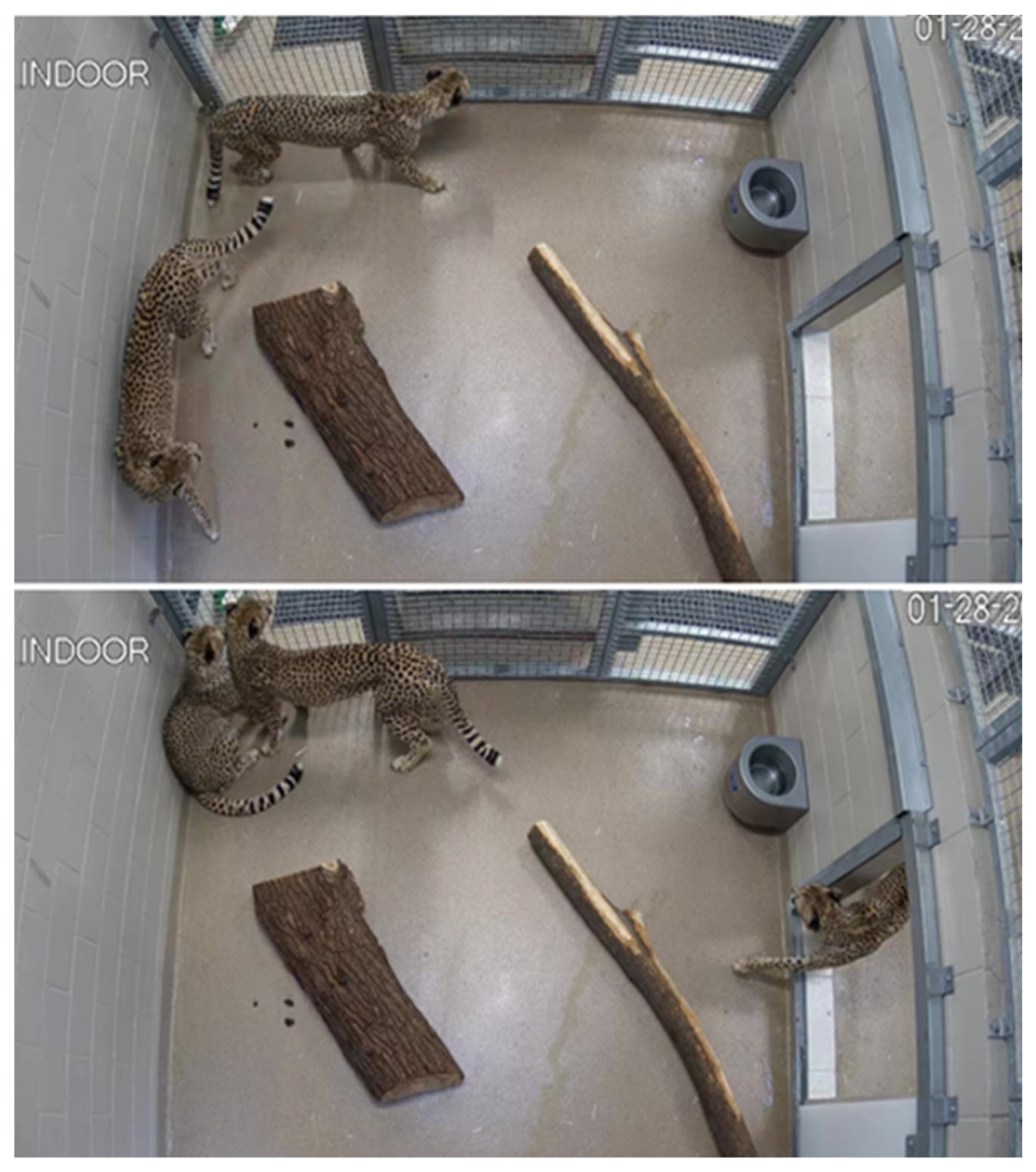 Jzbg 05 00035 g008 Jzbg 05 00035 g008