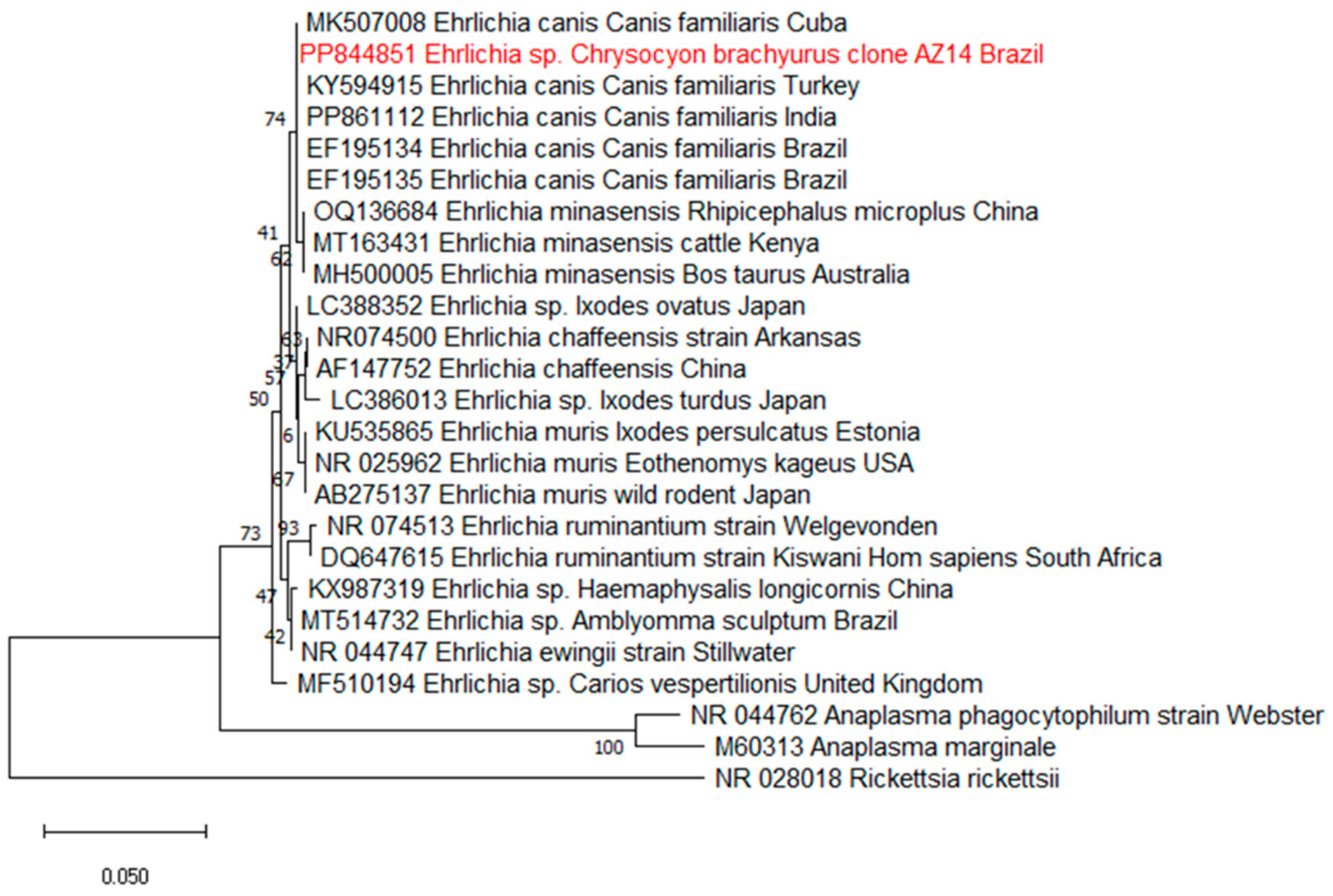 Jzbg 05 00050 g003 Jzbg 05 00050 g003