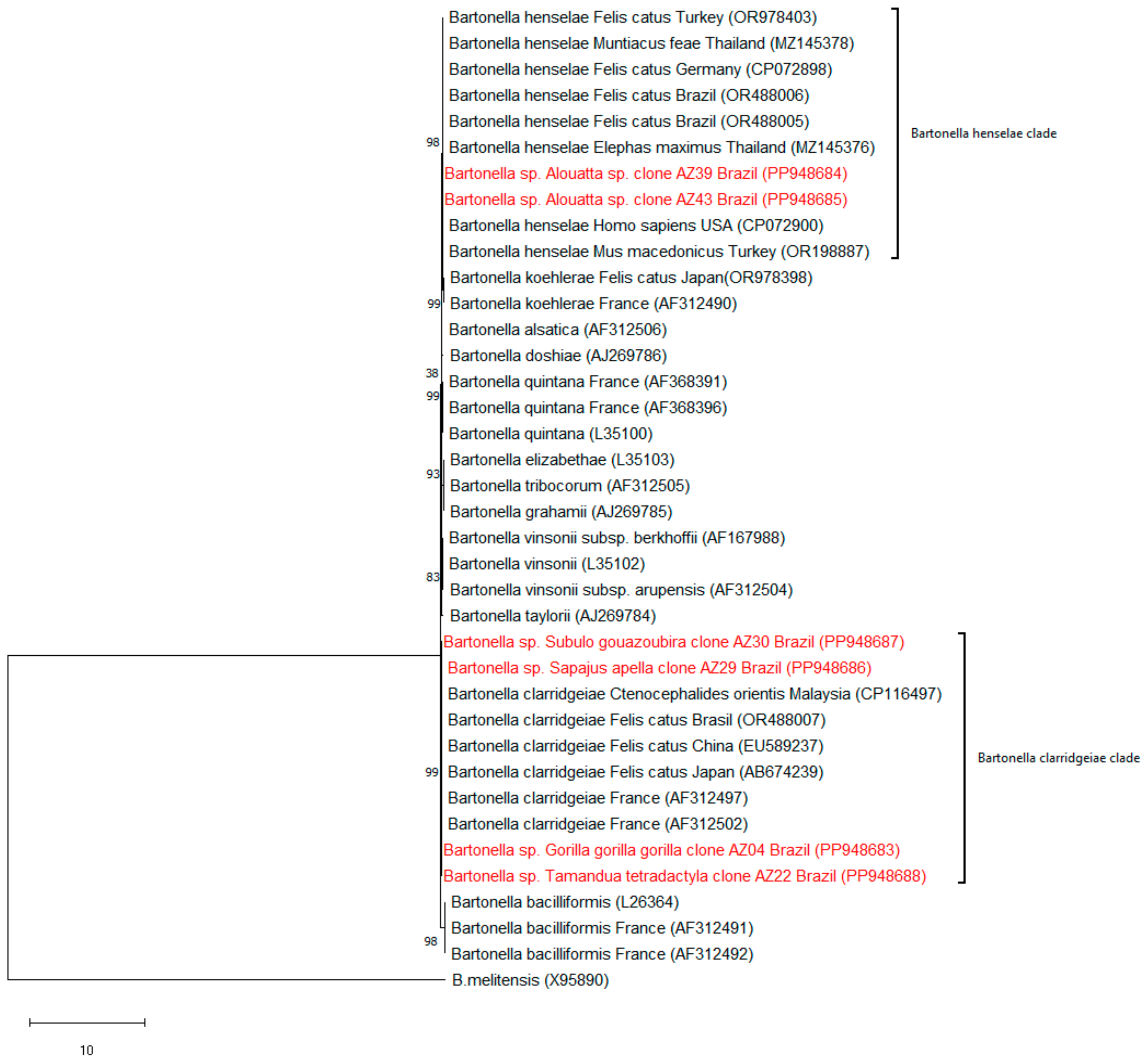 Jzbg 05 00050 g004 Jzbg 05 00050 g004