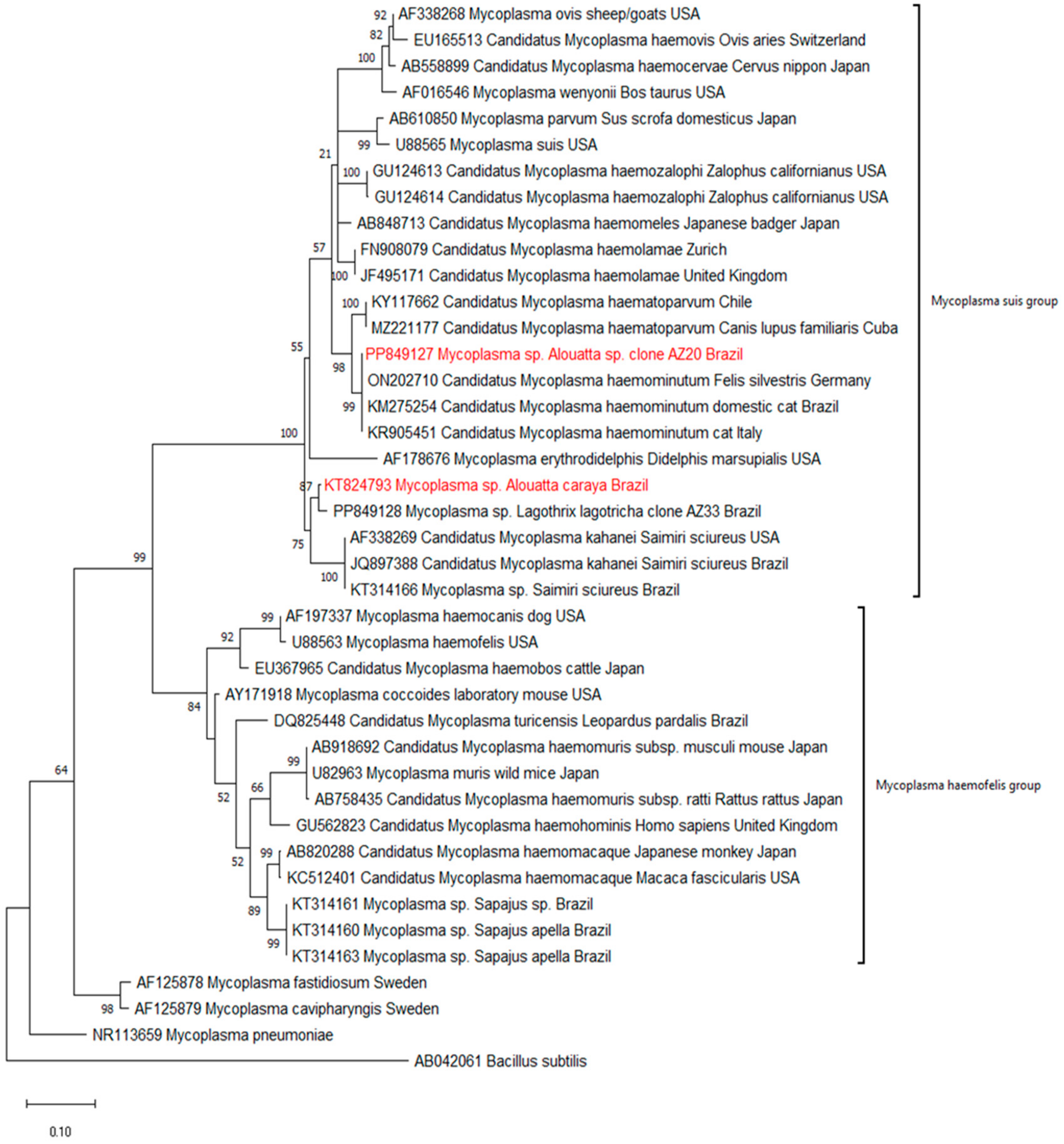 Jzbg 05 00050 g005 Jzbg 05 00050 g005