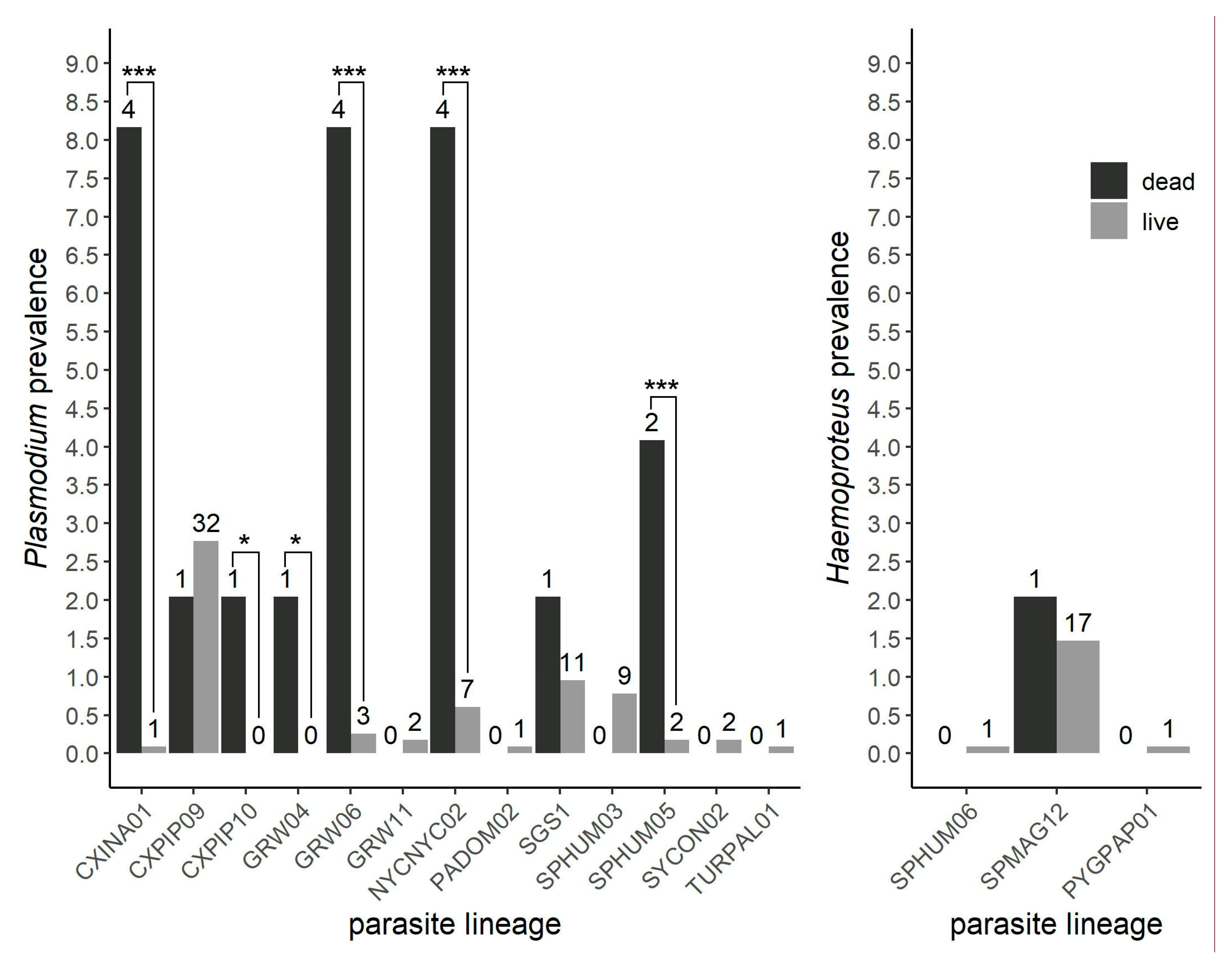 Jzbg 06 00007 g002 Jzbg 06 00007 g002