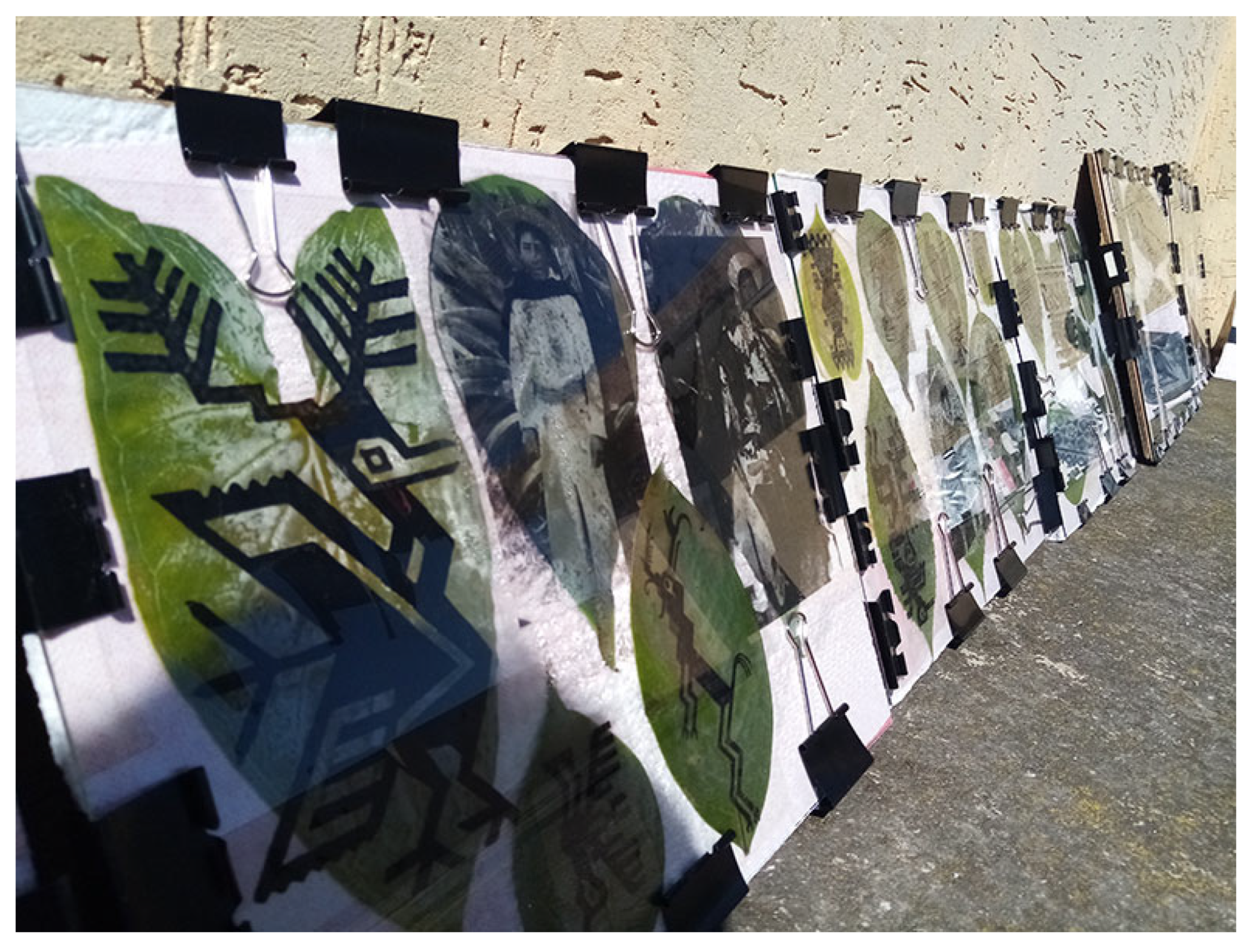 Jzbg 06 00041 g003 Jzbg 06 00041 g003