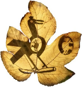 Jzbg 06 00041 i007 Jzbg 06 00041 i007