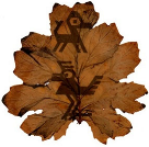 Jzbg 06 00041 i024 Jzbg 06 00041 i024